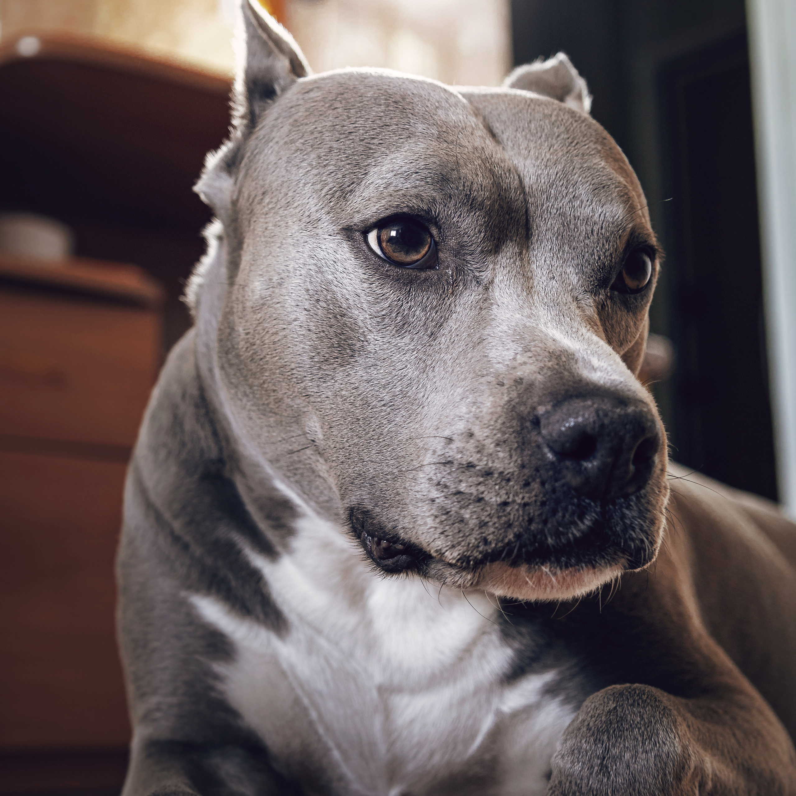 Животные альбом. Фотограф Каримов Виктор