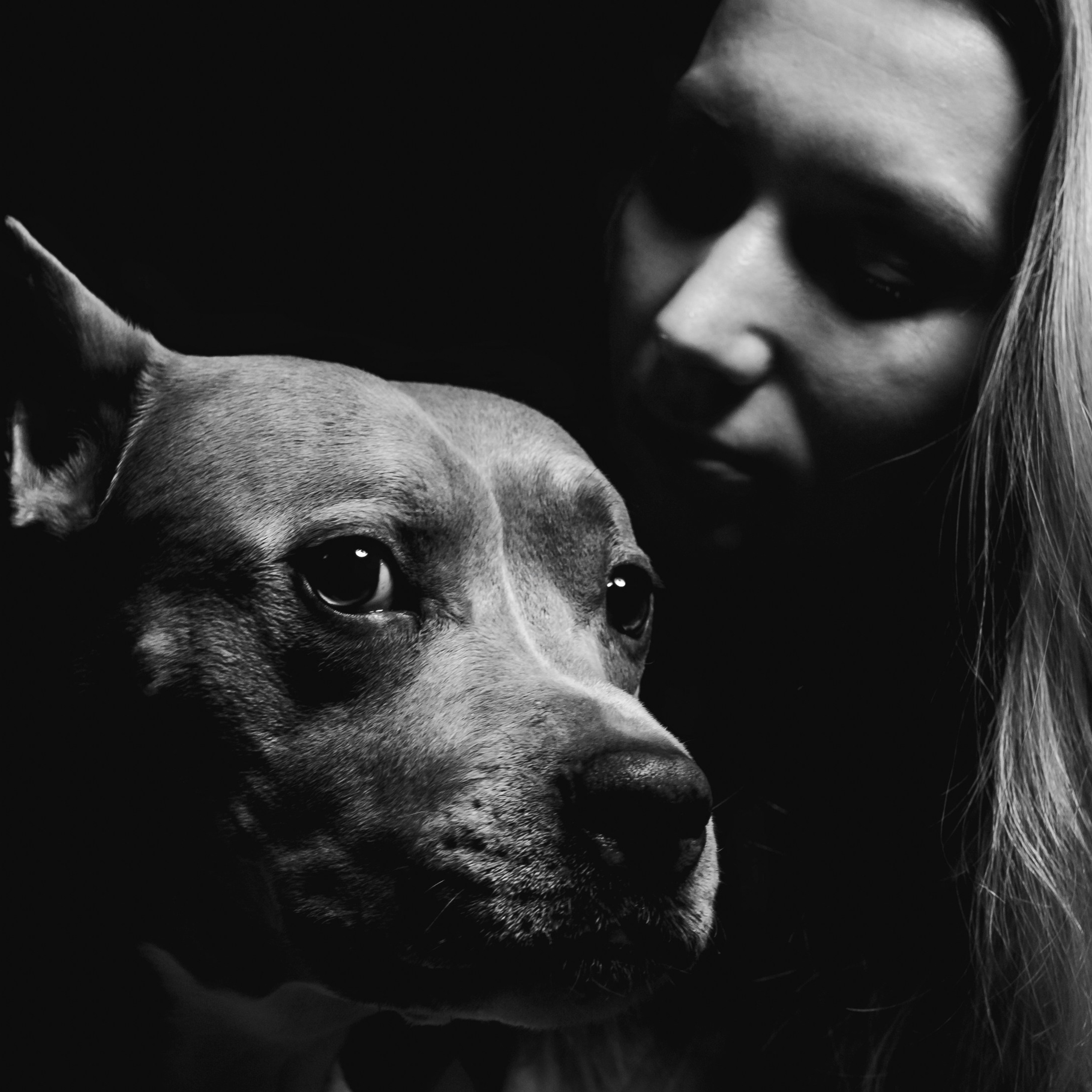 Животные альбом. Фотограф Каримов Виктор