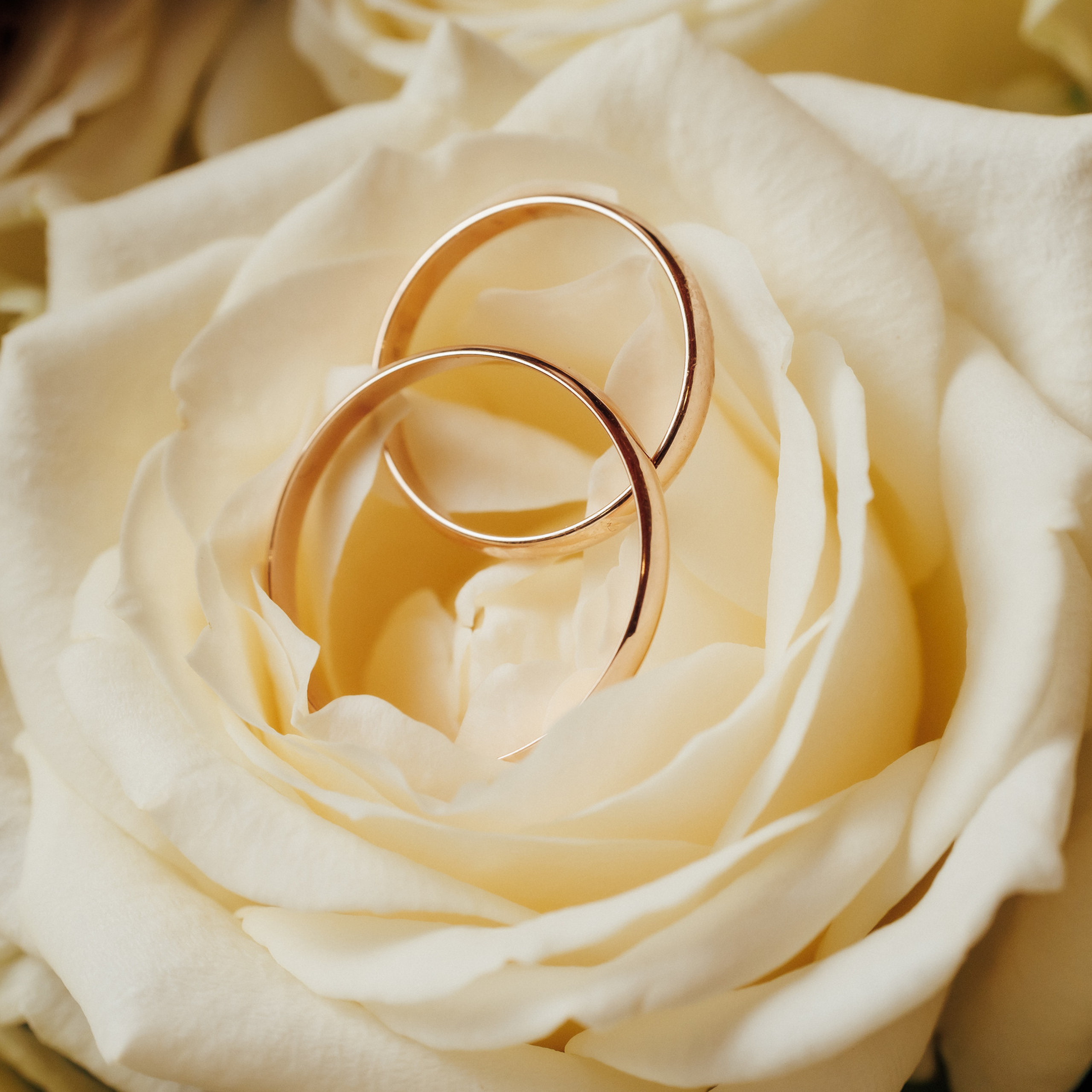 Отзывы. Кристина Москвина. Портретный фотограф