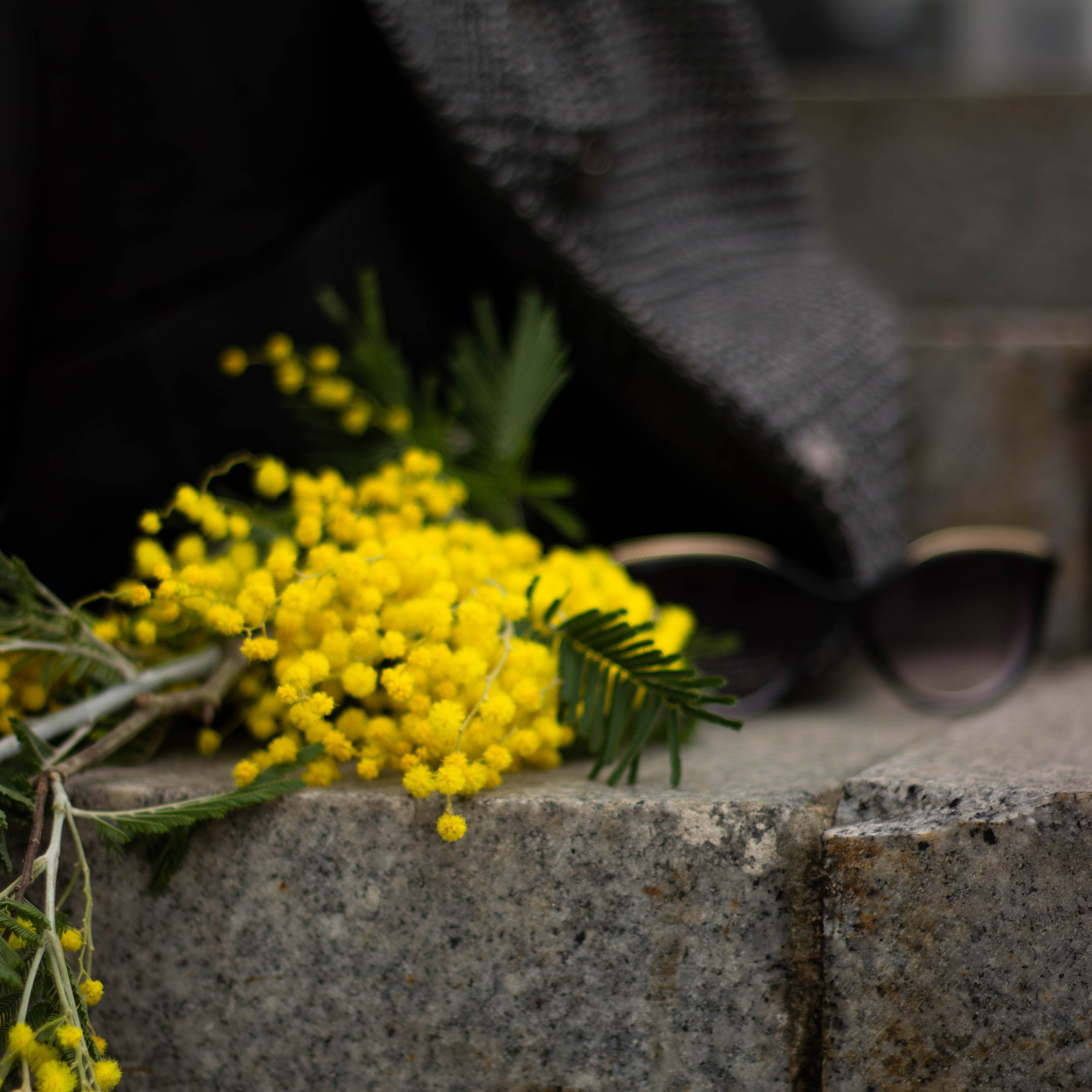 Прогулка с Аней