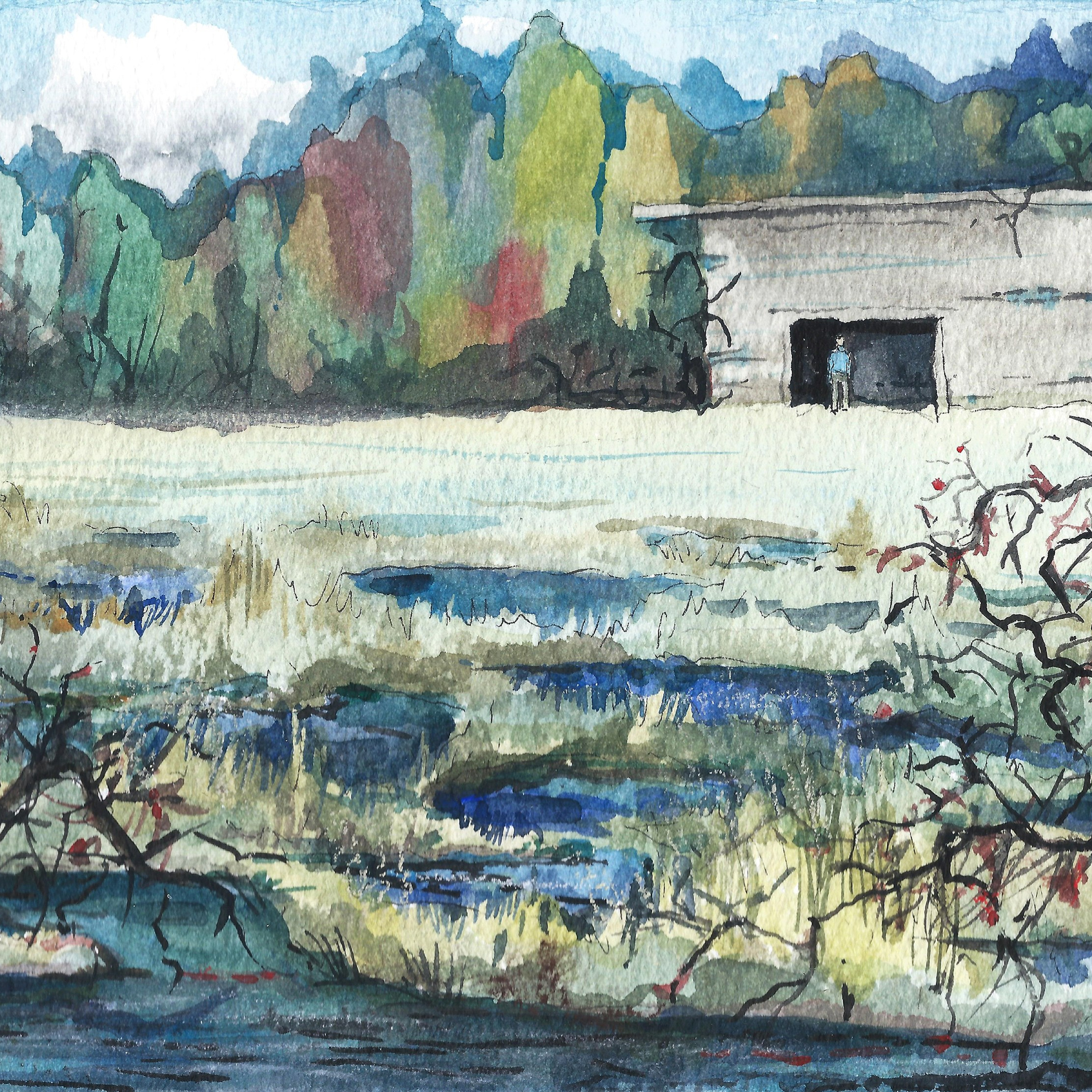 Иллюстрации