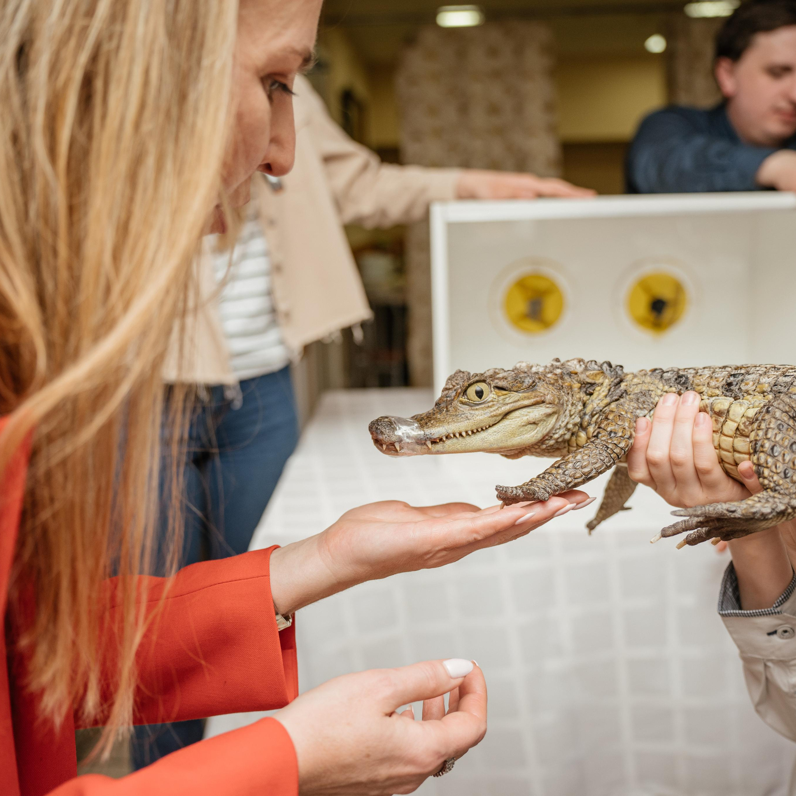 Отзывы о работе фотографа. Свадебный и семейный фотограф в Красноярске Наталья Дроздова