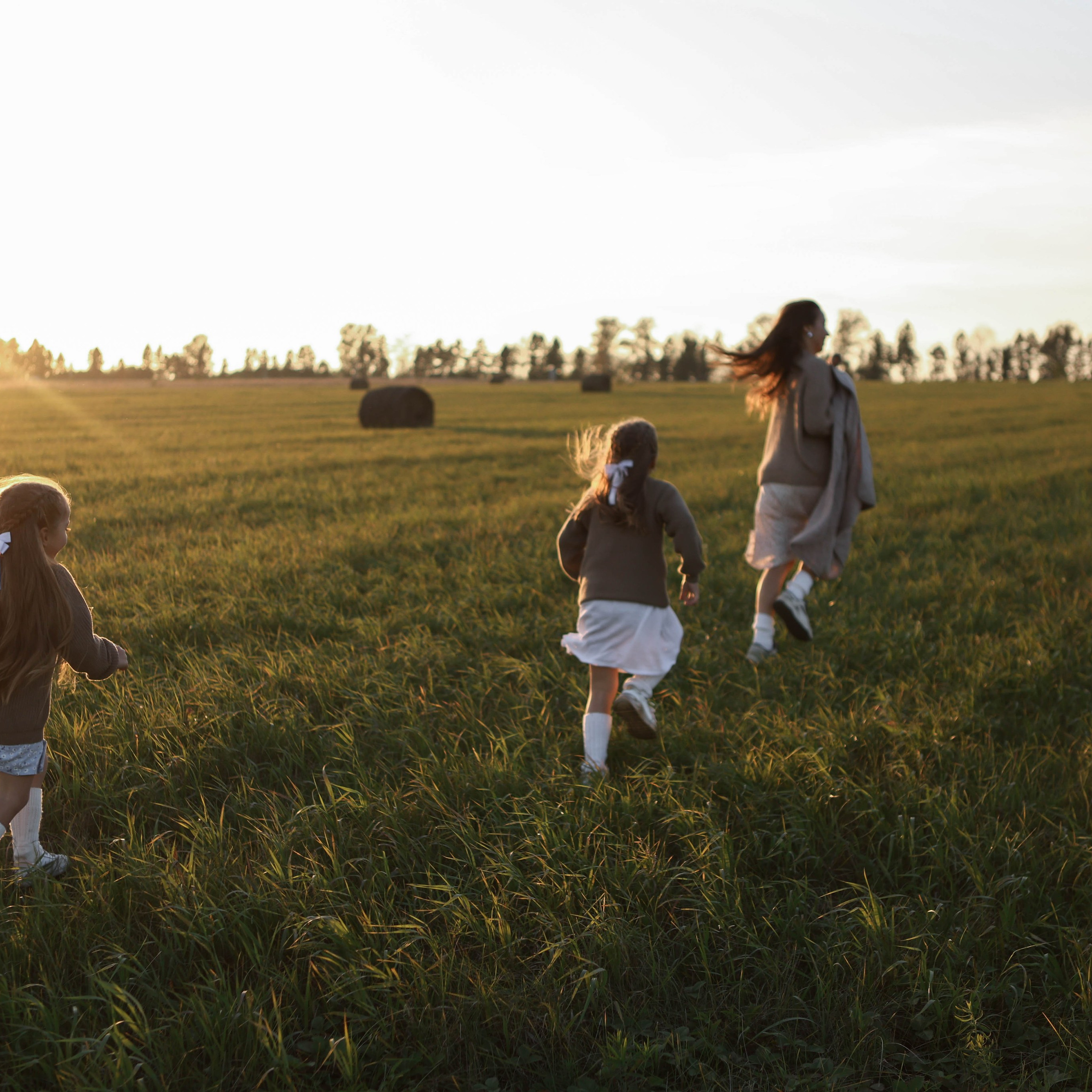 три сестры в поле