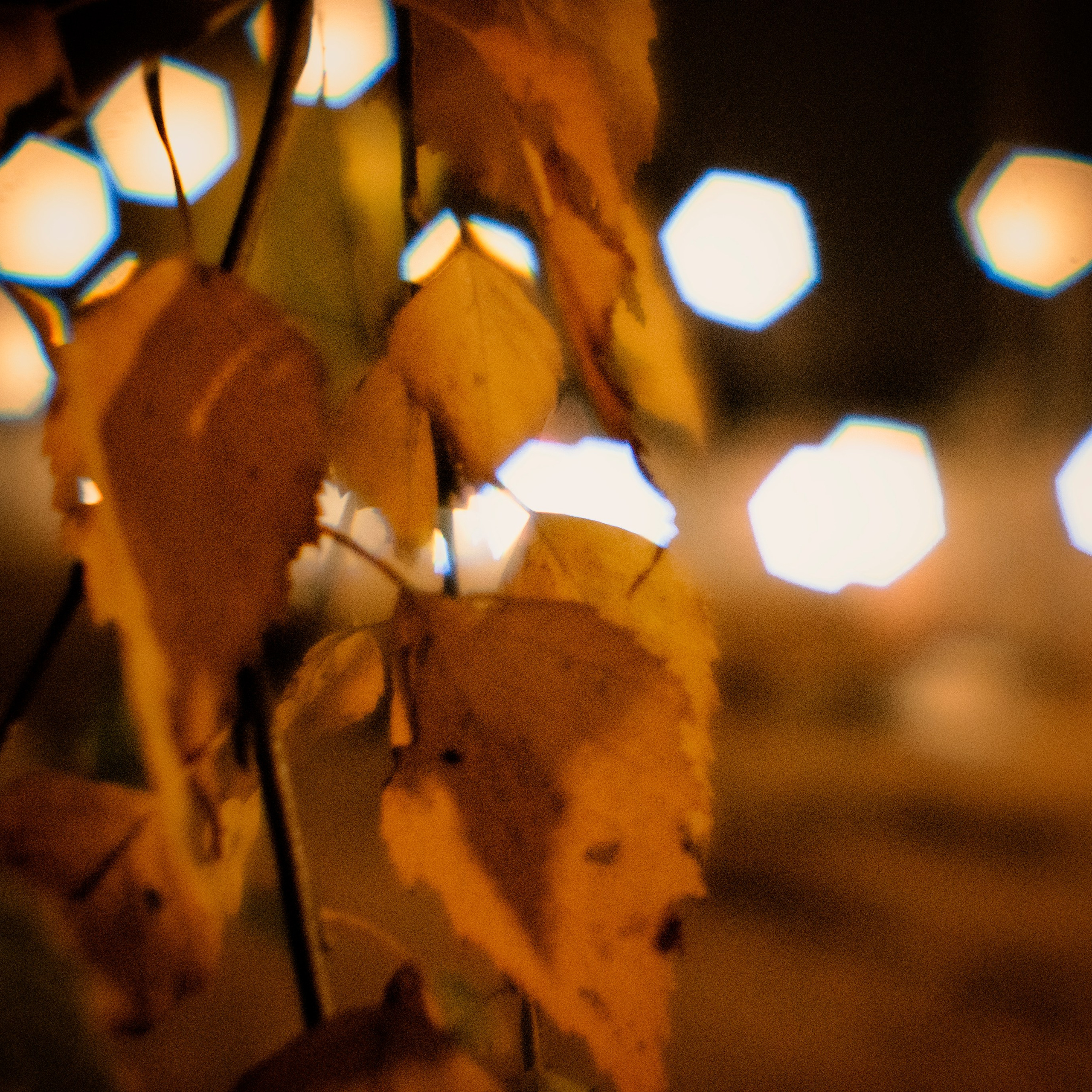 Монокль. Макс Аксёнов. Портретный фотограф