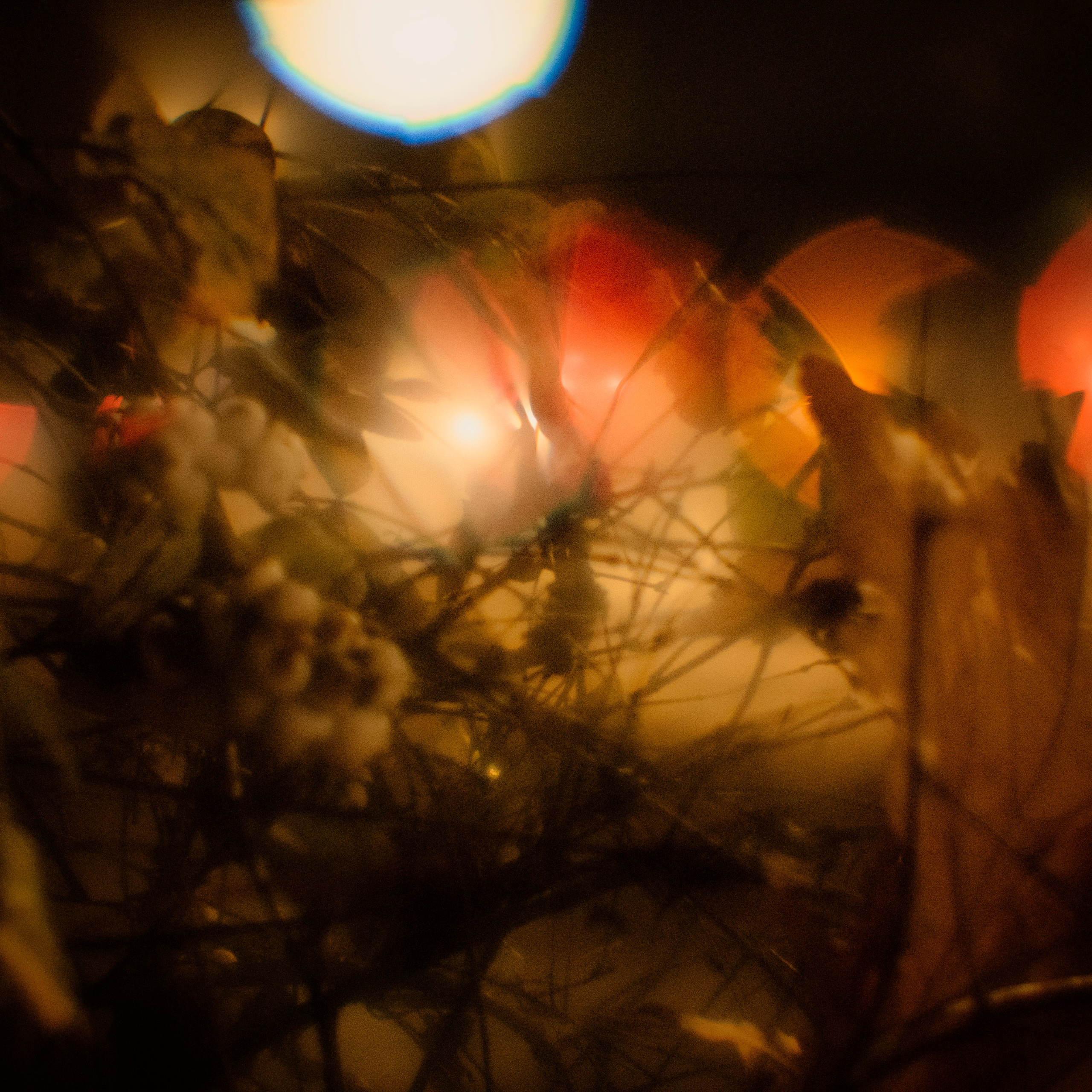 Монокль. Макс Аксёнов. Портретный фотограф