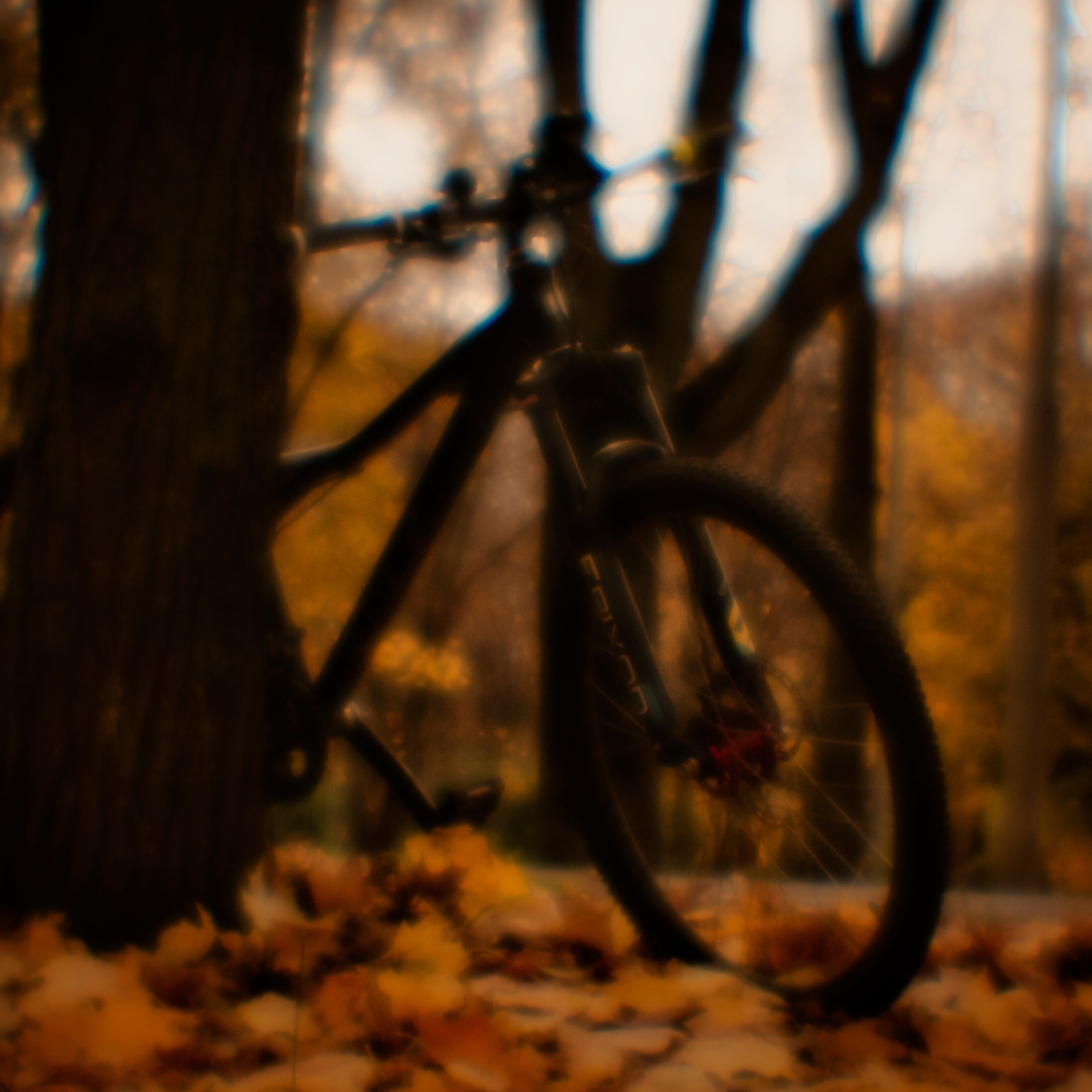 Монокль. Макс Аксёнов. Портретный фотограф