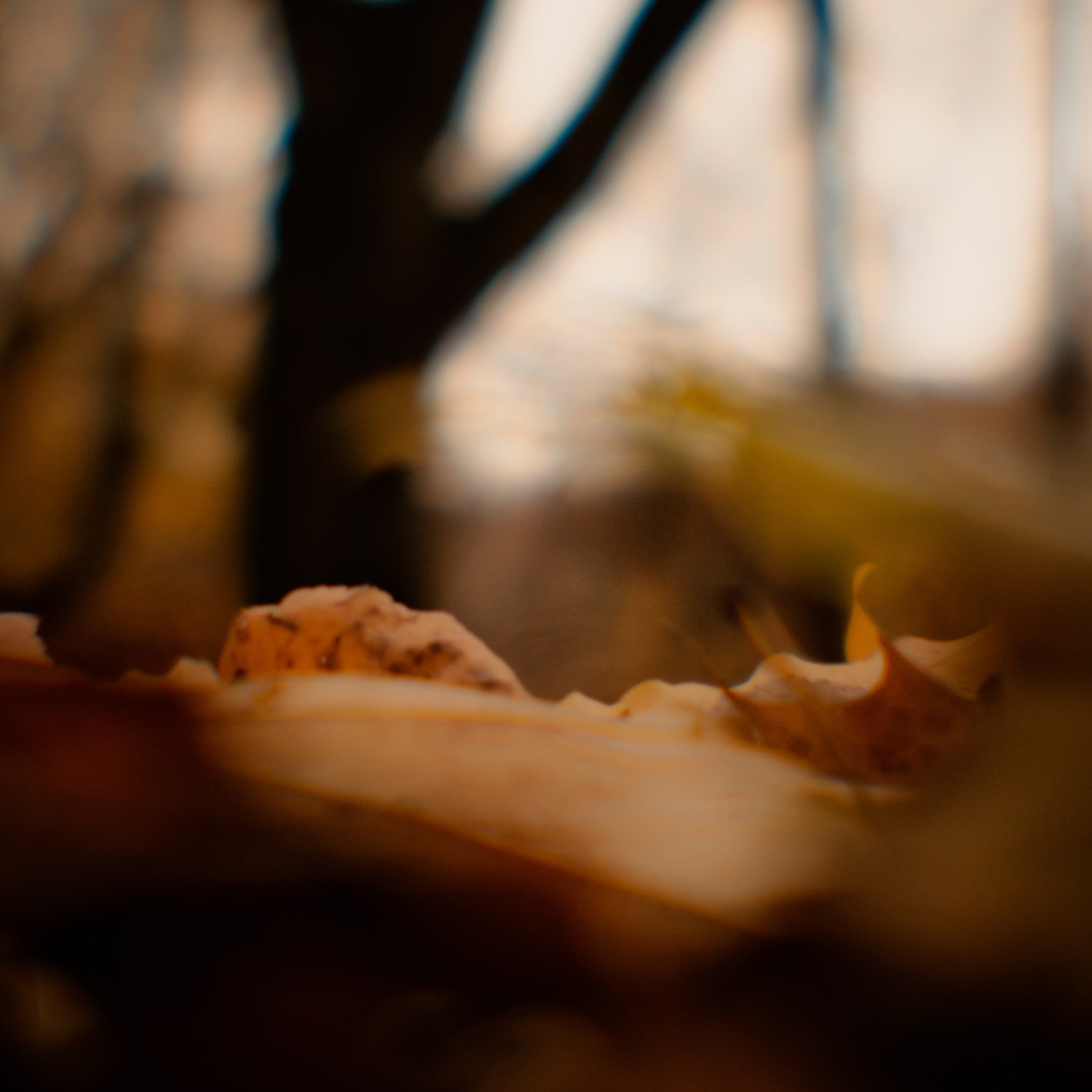 Монокль. Макс Аксёнов. Портретный фотограф