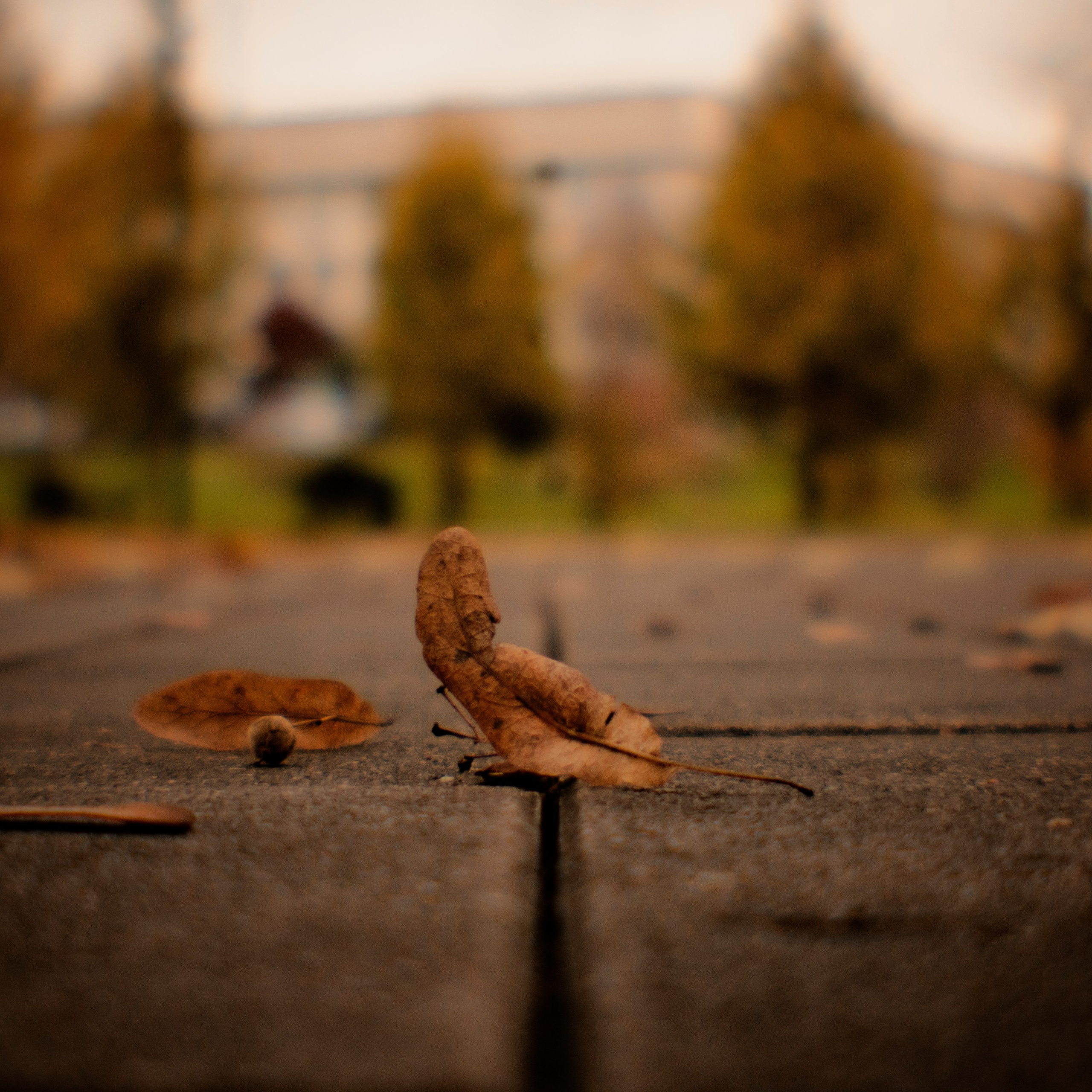 Монокль. Макс Аксёнов. Портретный фотограф