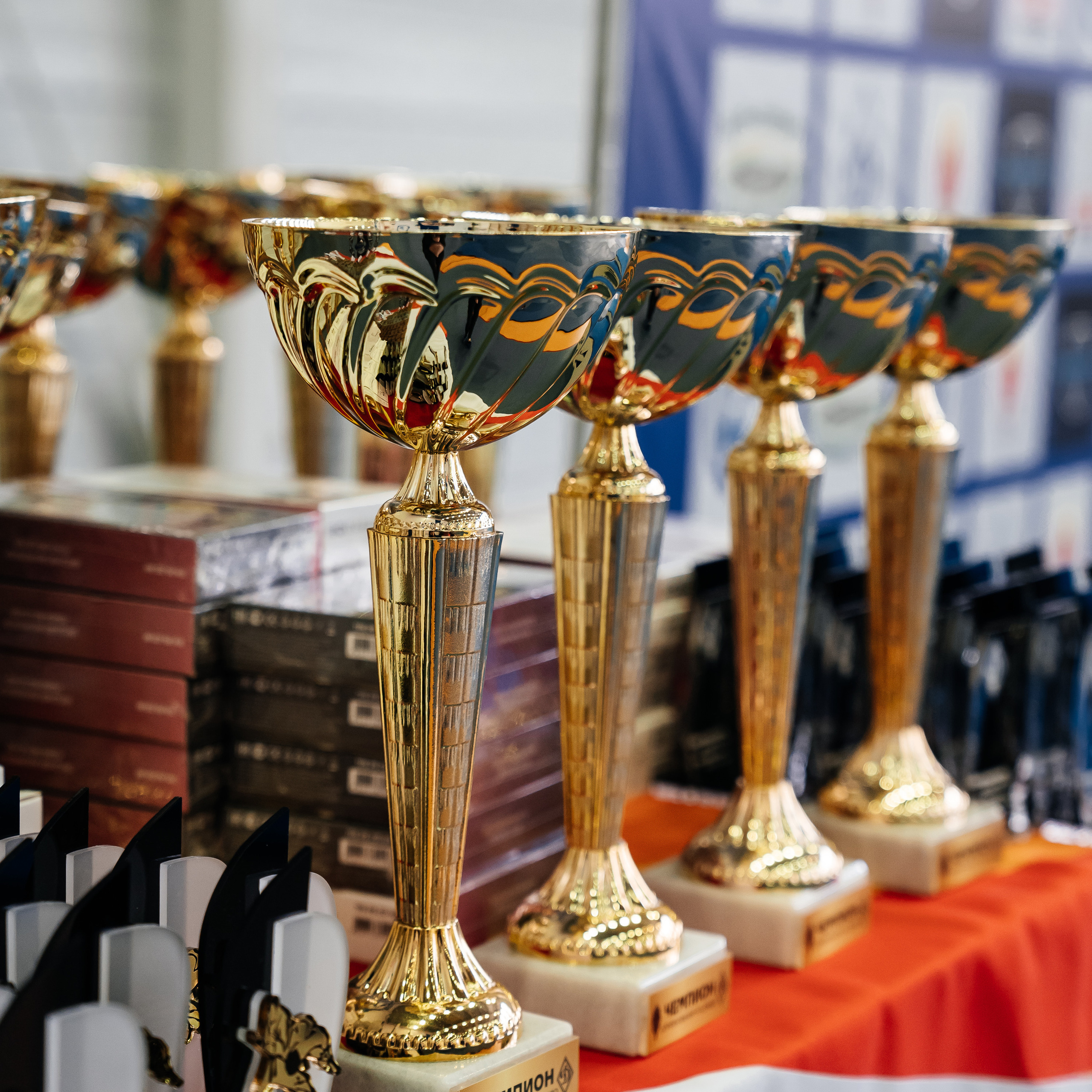 Отзывы. Свадебный и семейный фотограф В Барнауле Нечаева Таня