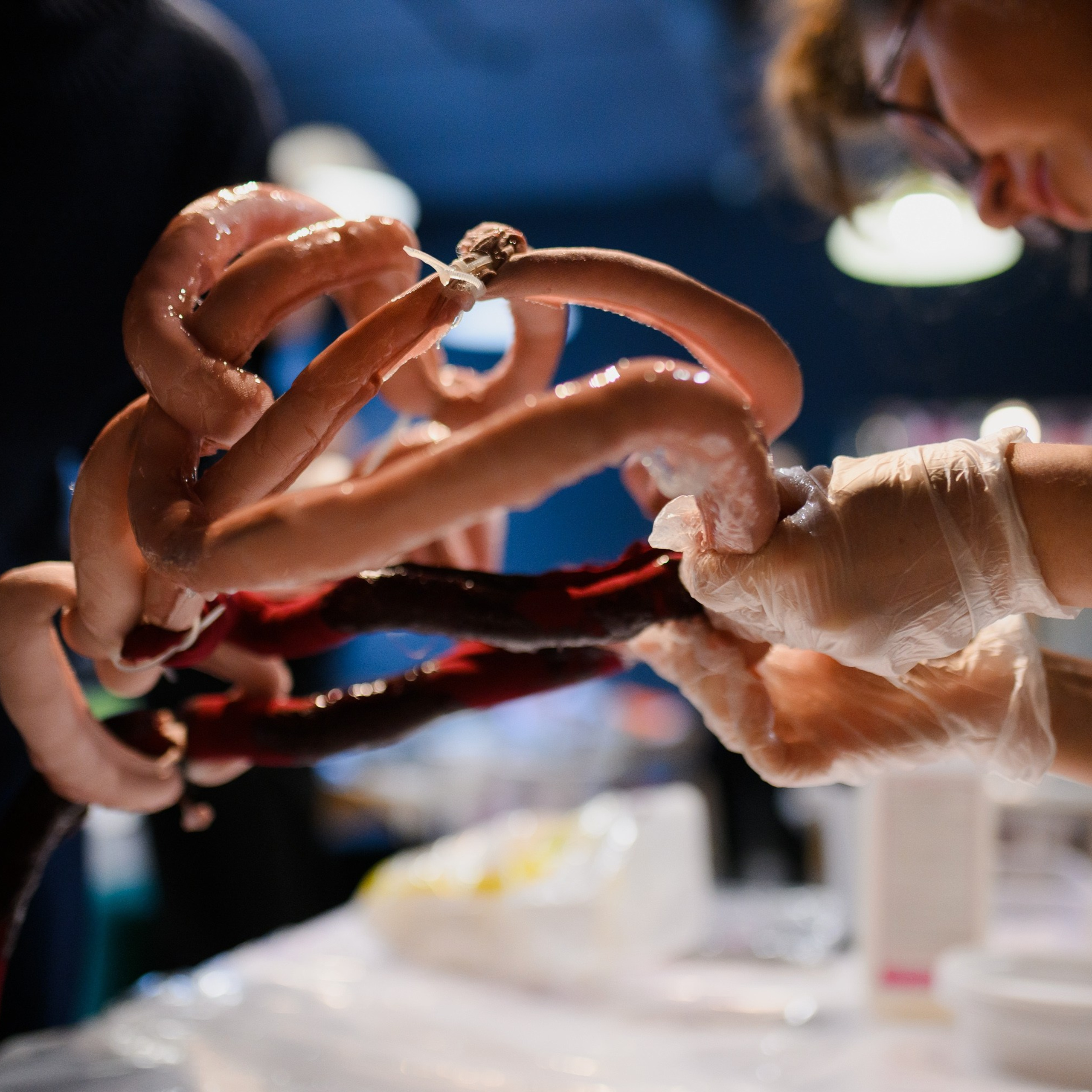 “Poetic image visualization laboratory”, PERMM museum, Perm, 2022. Ksenia Markelova, multidisciplinary artist, Yekaterinburg