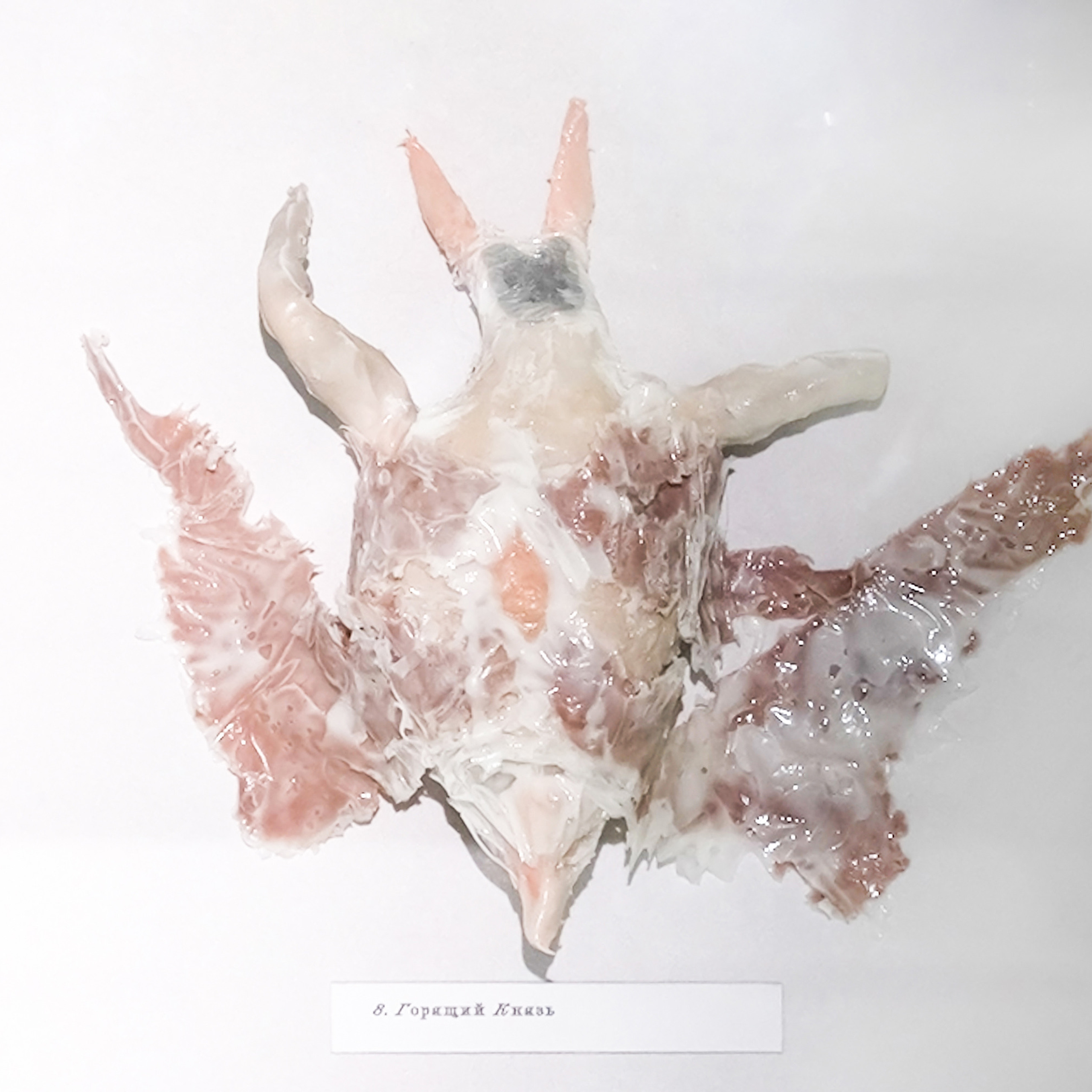 “Exopathos semidea\ Polubozhki Glazastie”, 2021. Ksenia Markelova, multidisciplinary artist, Yekaterinburg