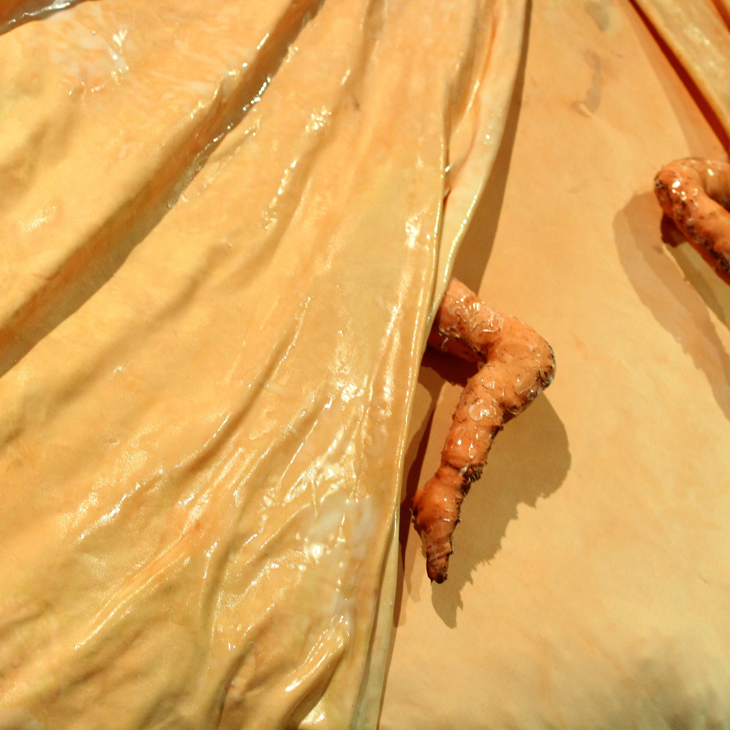 “(inside)out”, 2019. Ksenia Markelova, multidisciplinary artist, Yekaterinburg