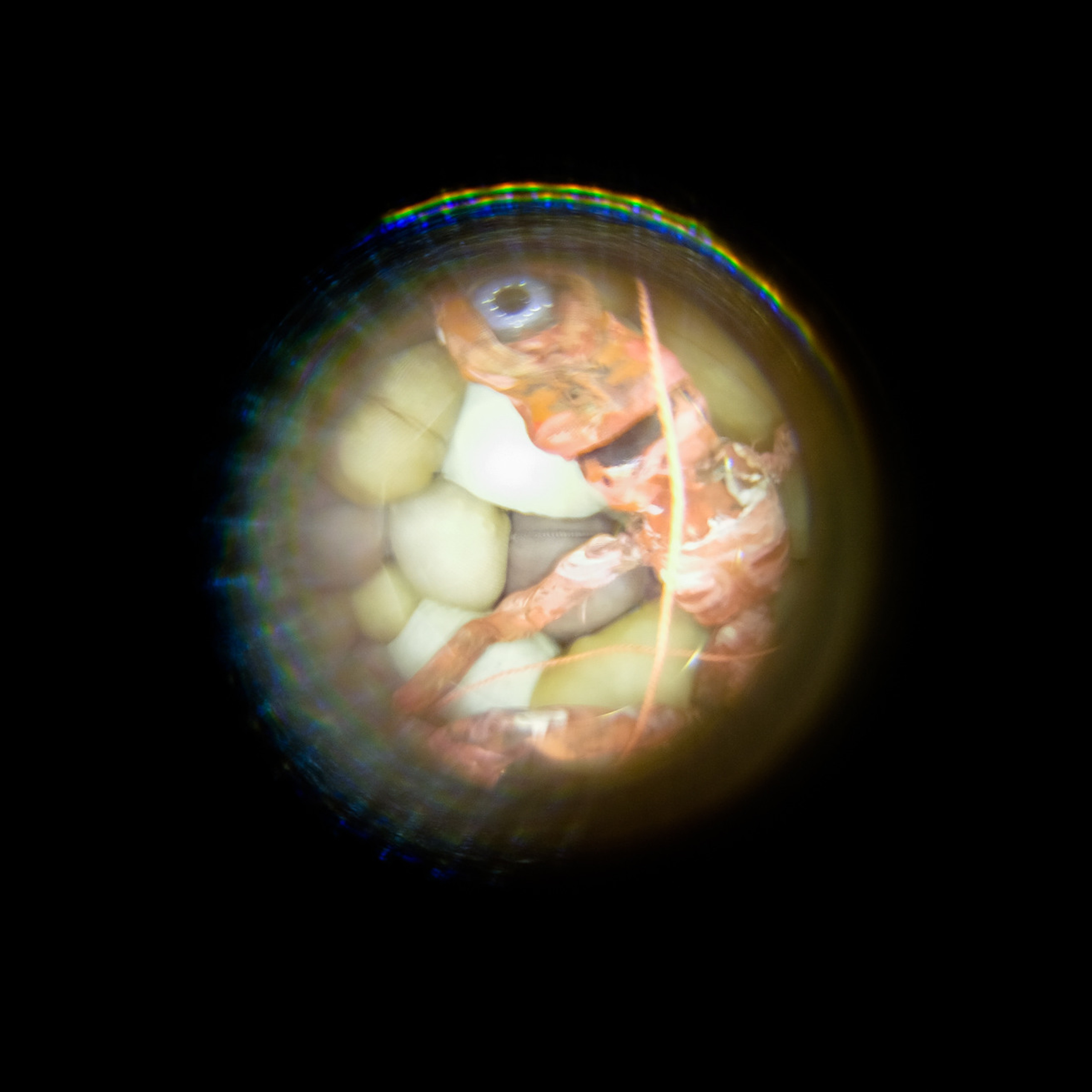 “(inside)out”, 2019. Ksenia Markelova, multidisciplinary artist, Yekaterinburg