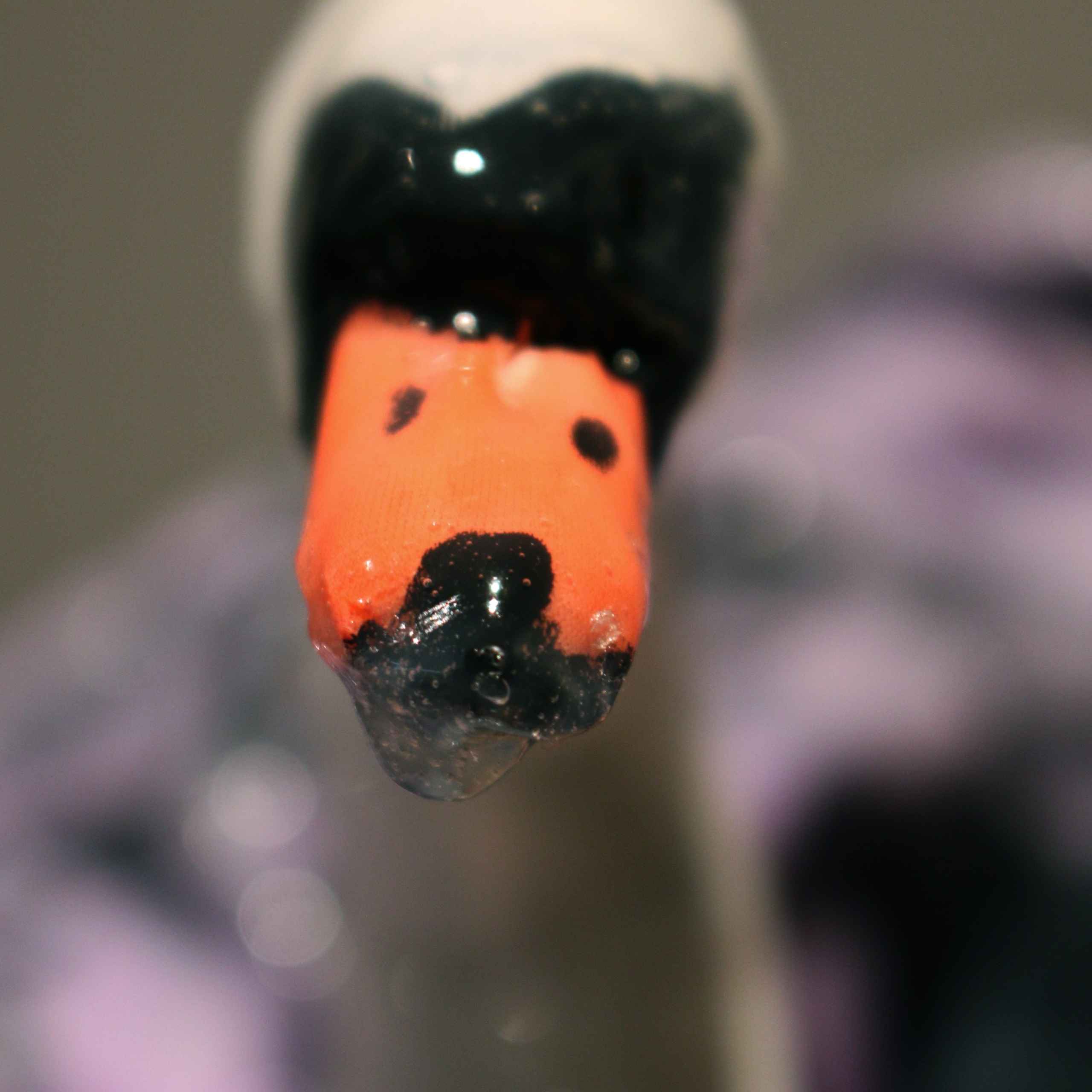 “The Worm and the Swan”, 2024. Ksenia Markelova, multidisciplinary artist, Yekaterinburg