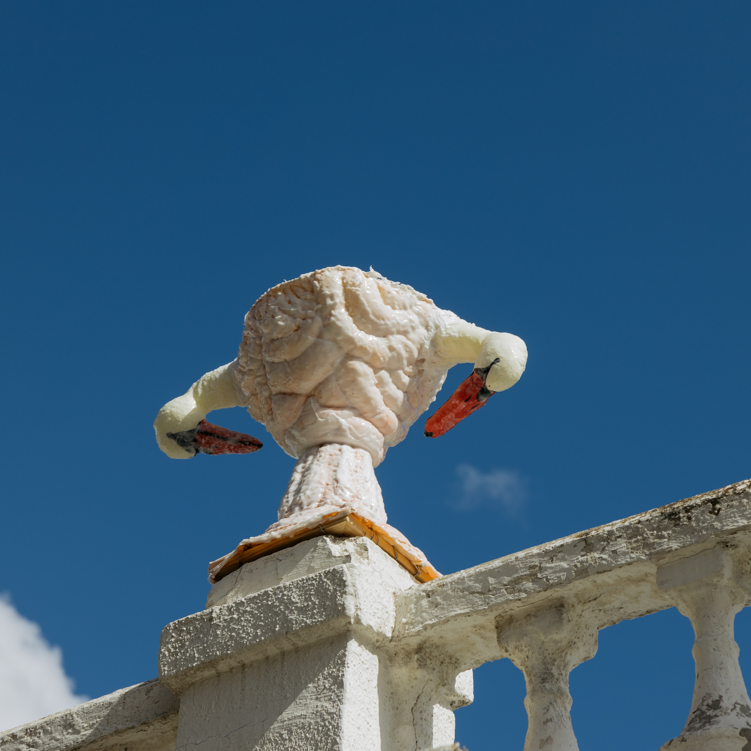 “The Swan Vase”, 2021. Ksenia Markelova, multidisciplinary artist, Yekaterinburg