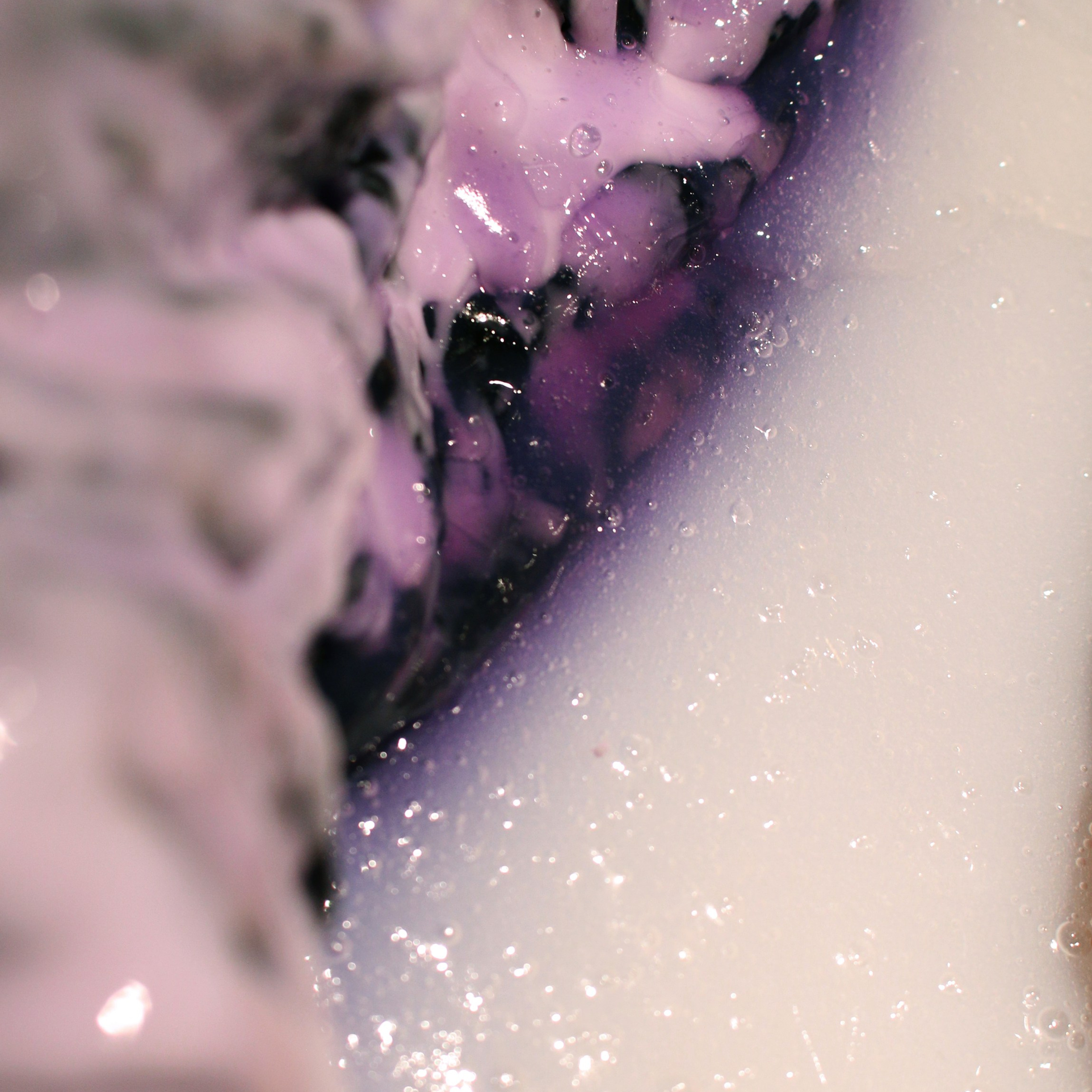 “The Worm and the Swan”, 2024. Ksenia Markelova, multidisciplinary artist, Yekaterinburg