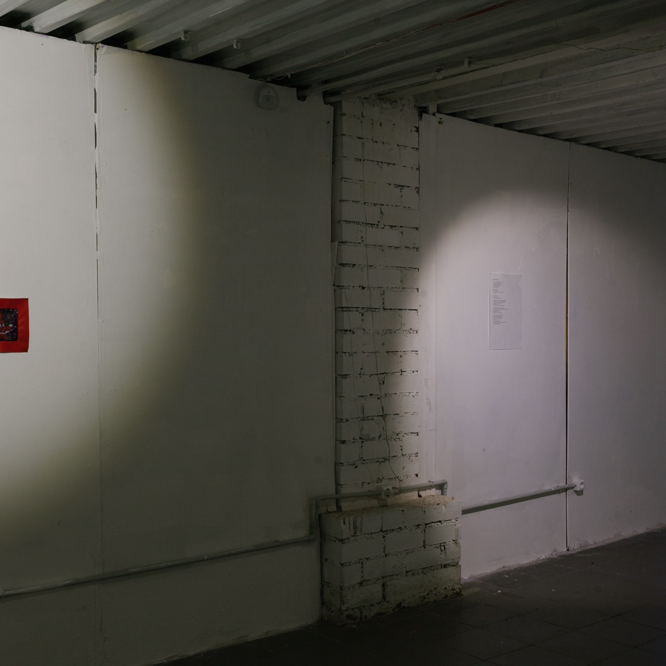 ''Rapid Reaction Group'', Cultural Transit Foundation, Yekaterinburg, 2019. Ksenia Markelova, multidisciplinary artist, Yekaterinburg