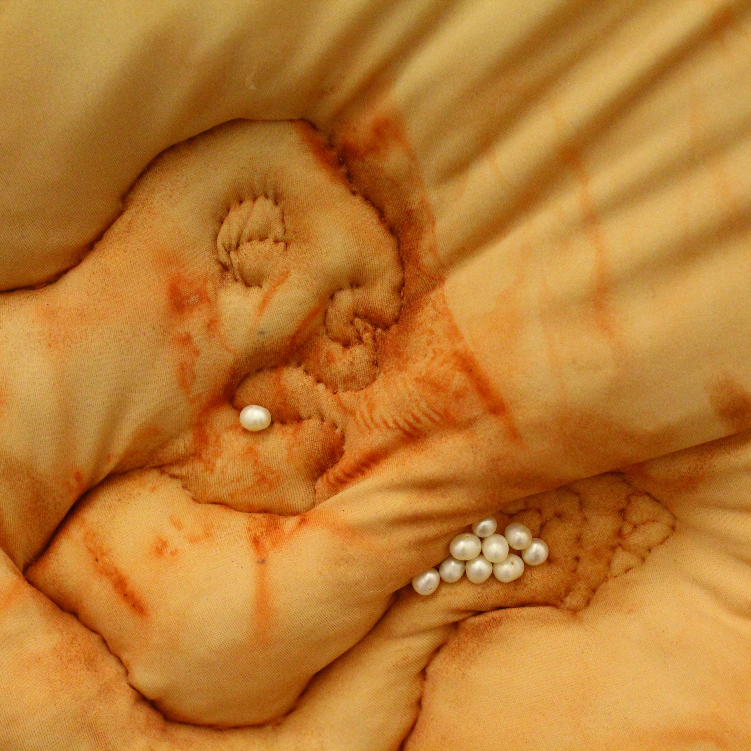 5th Ural Industrial Biennale of Contemporary Art (2), 2019. Ksenia Markelova, multidisciplinary artist, Yekaterinburg