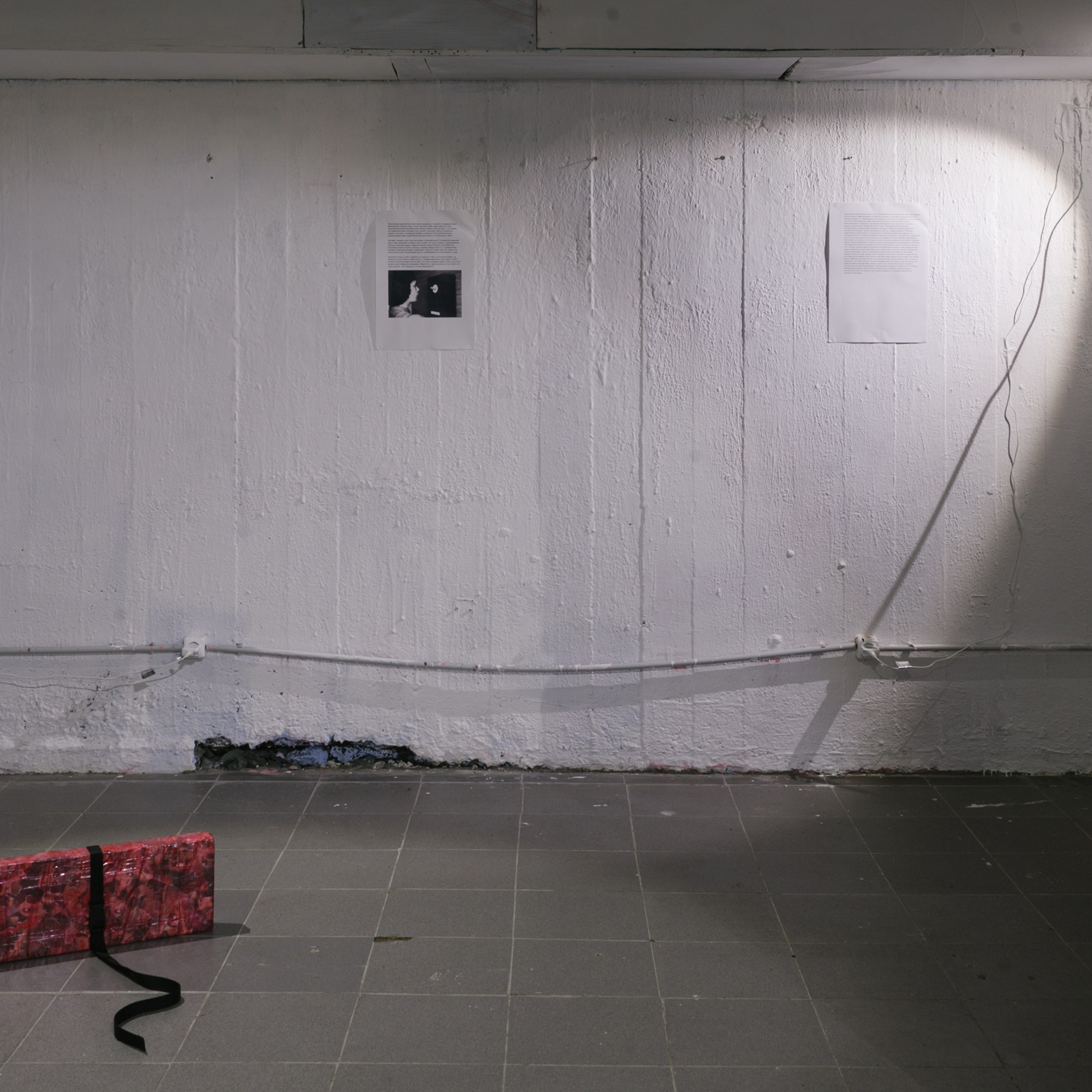 ''Rapid Reaction Group'', Cultural Transit Foundation, Yekaterinburg, 2019. Ksenia Markelova, multidisciplinary artist, Yekaterinburg