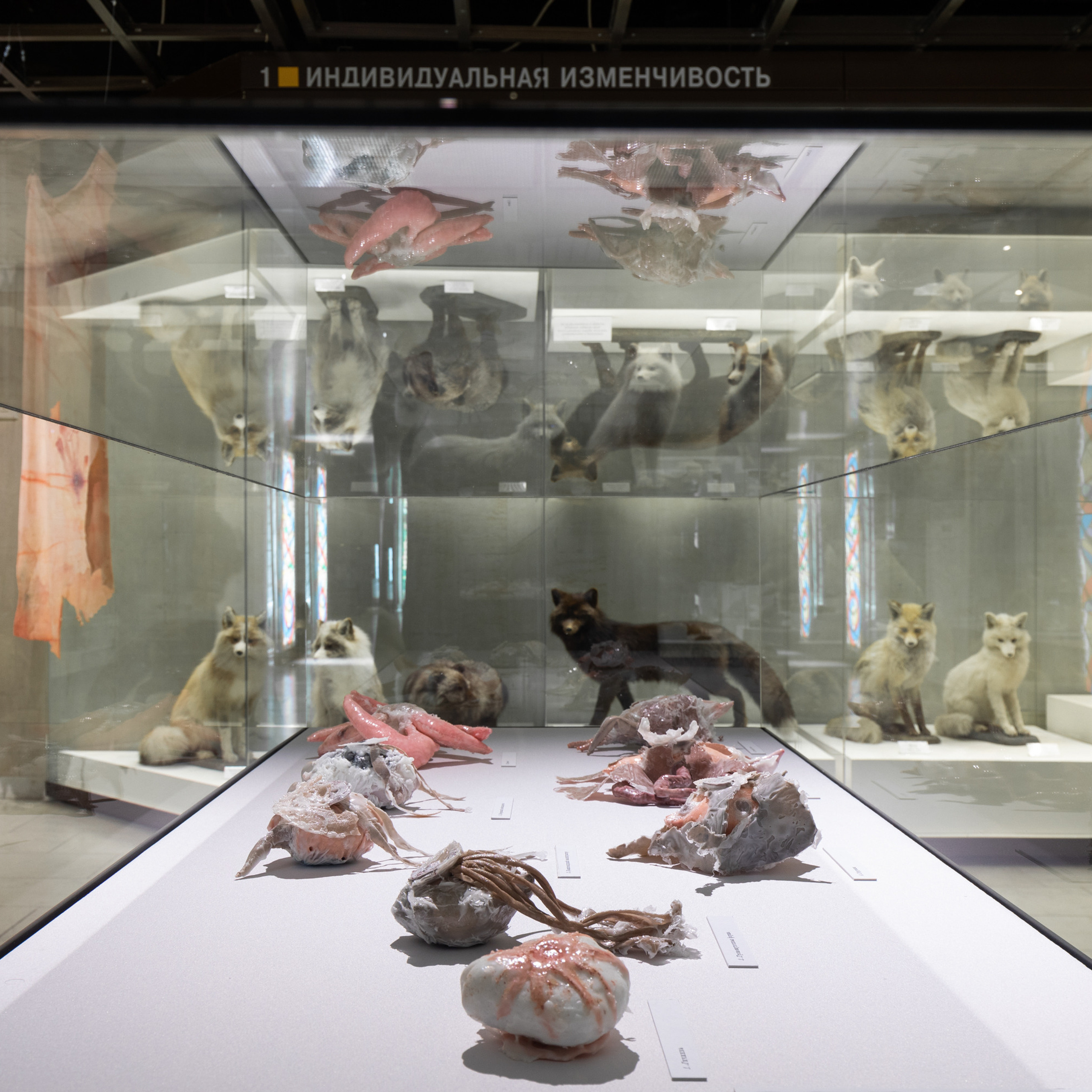 “Exopathos semidea\ Polubozhki Glazastie”, 2021. Ksenia Markelova, multidisciplinary artist, Yekaterinburg