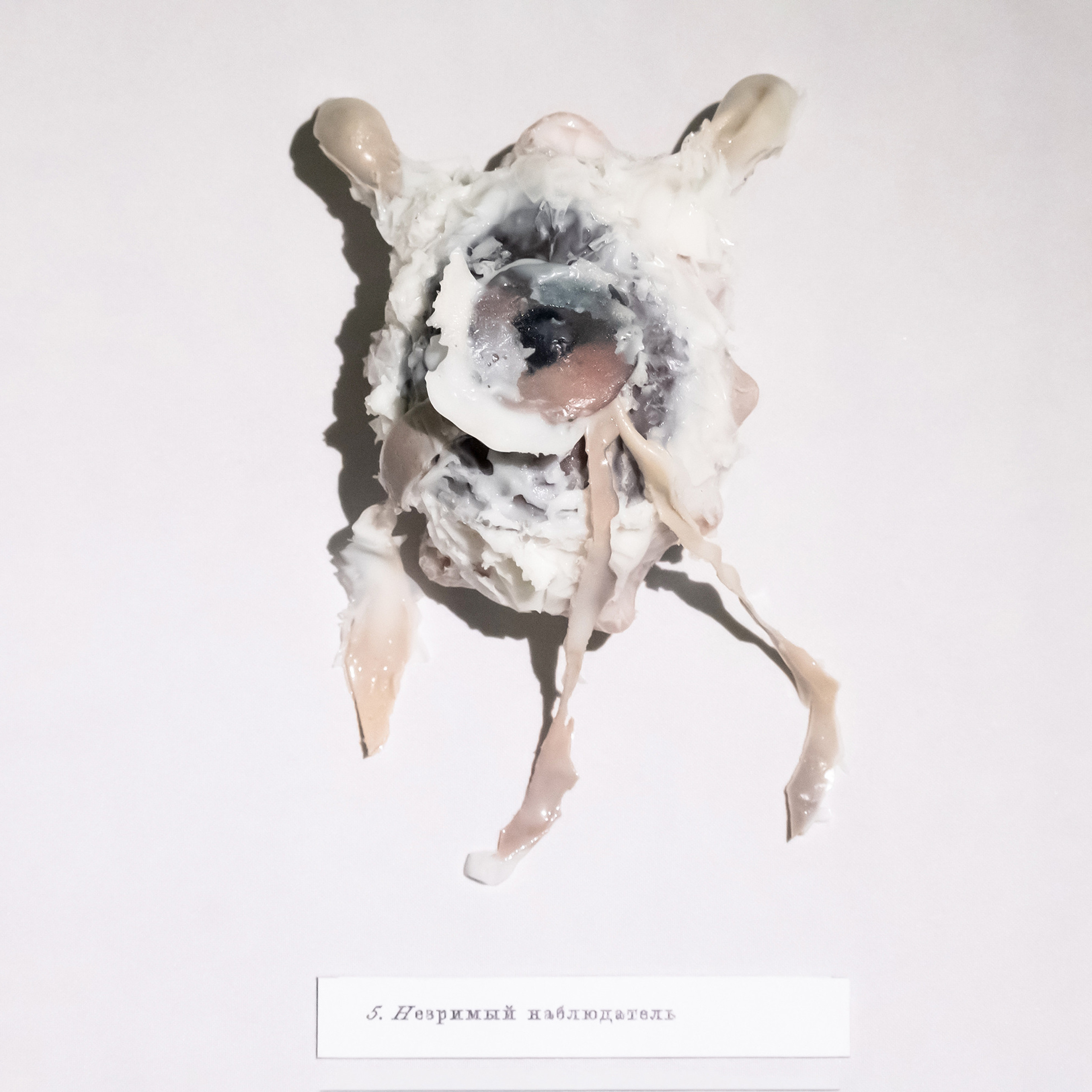 “Exopathos semidea\ Polubozhki Glazastie”, 2021. Ksenia Markelova, multidisciplinary artist, Yekaterinburg