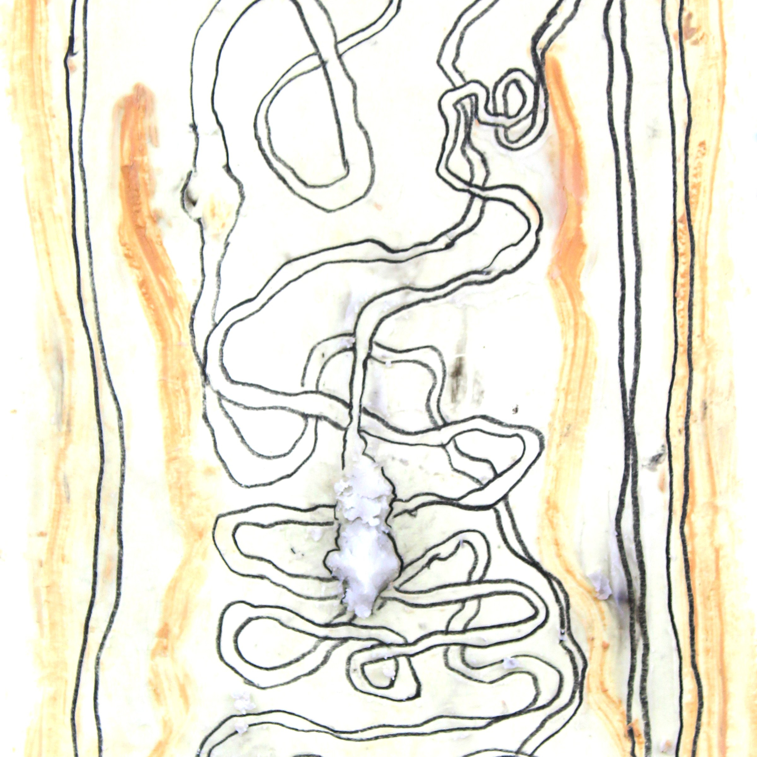 Graphics and paintings. Ksenia Markelova, multidisciplinary artist, Yekaterinburg