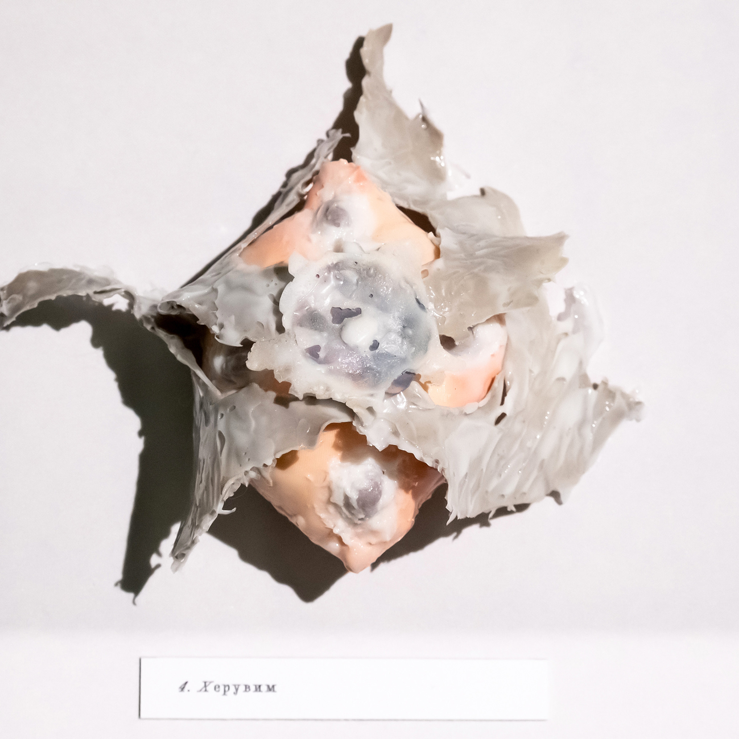 “Exopathos semidea\ Polubozhki Glazastie”, 2021. Ksenia Markelova, multidisciplinary artist, Yekaterinburg