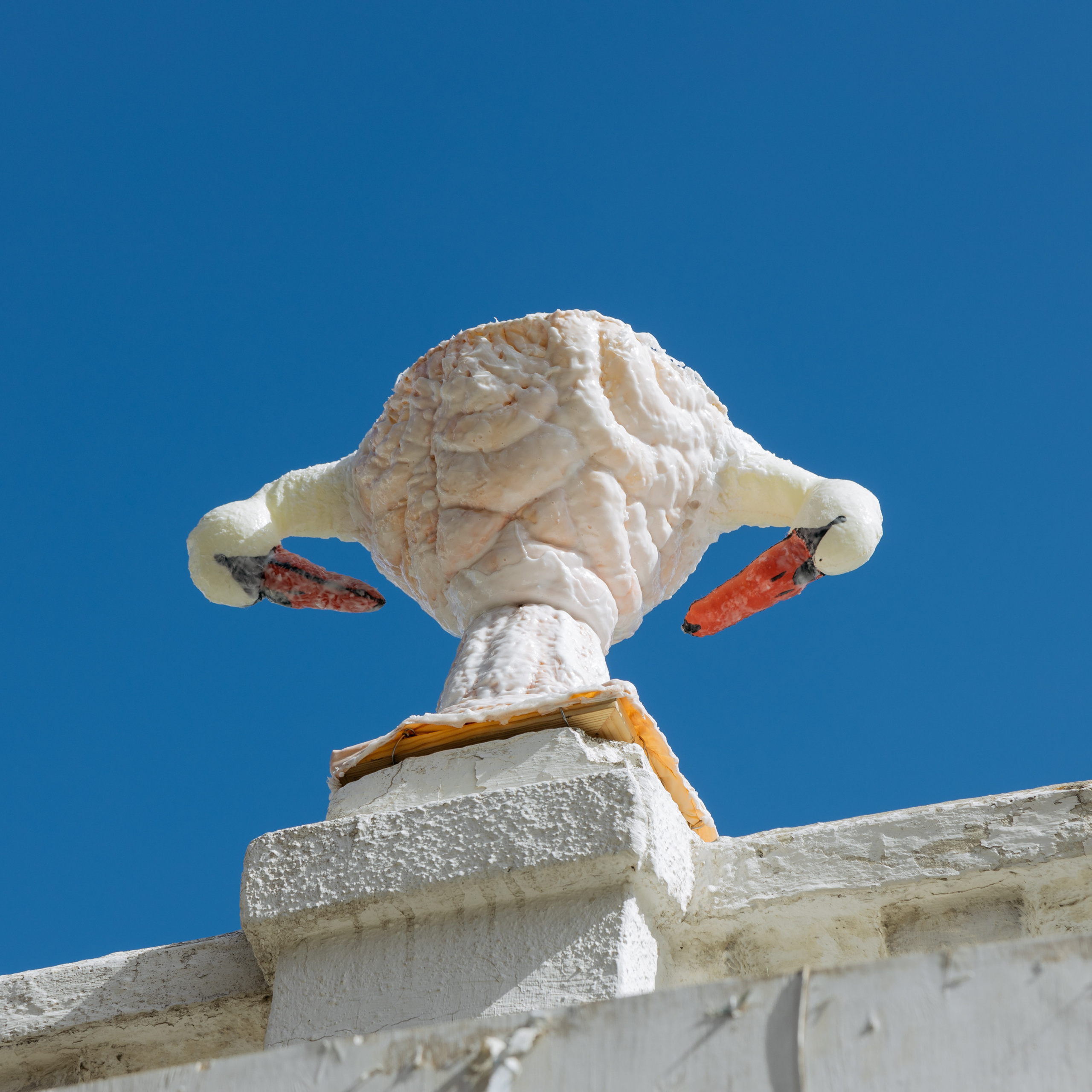 “The Swan Vase”, 2021. Ksenia Markelova, multidisciplinary artist, Yekaterinburg