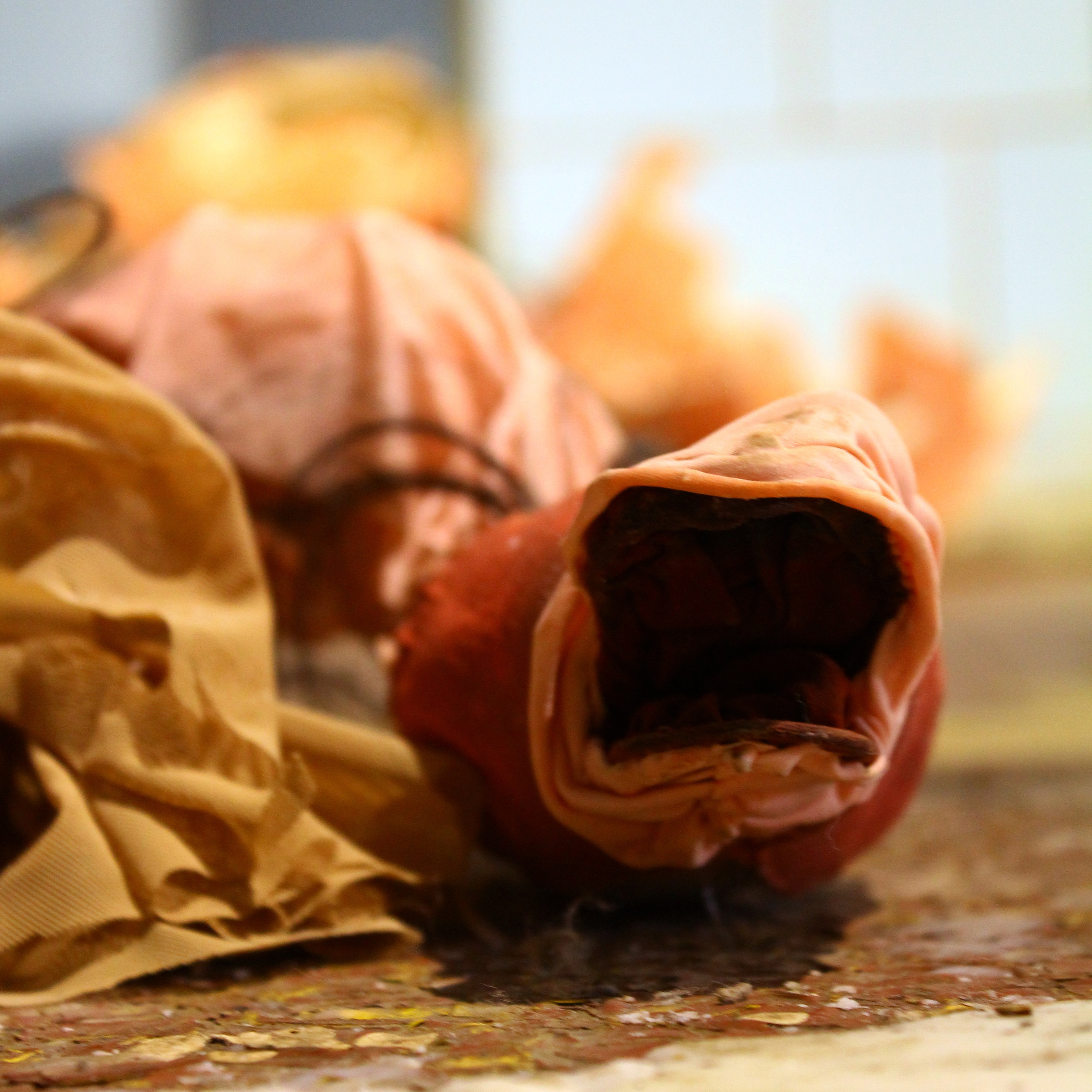 “The Room” installation, 2019. Ksenia Markelova, multidisciplinary artist, Yekaterinburg