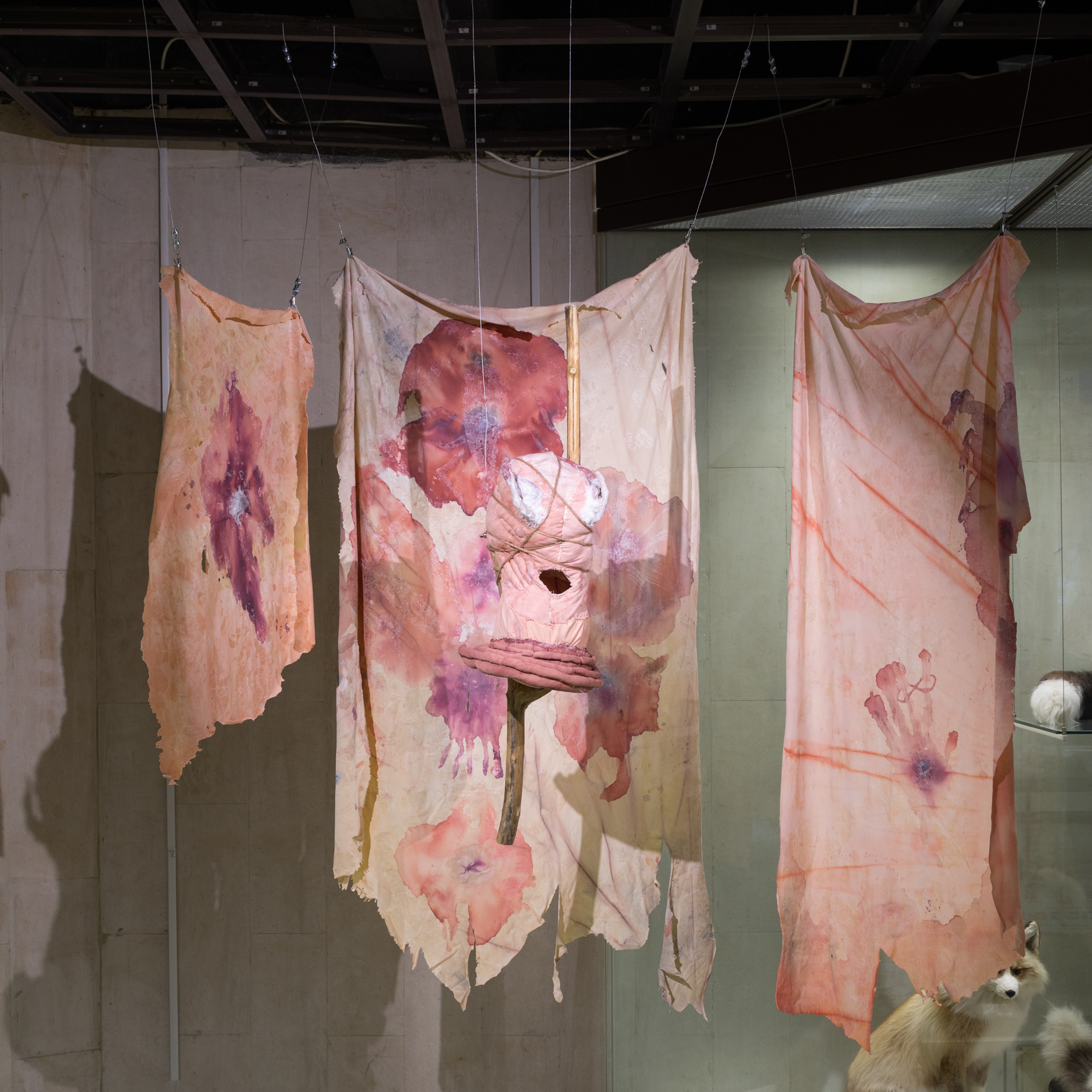 “Exopathos semidea\ Polubozhki Glazastie”, 2021. Ksenia Markelova, multidisciplinary artist, Yekaterinburg