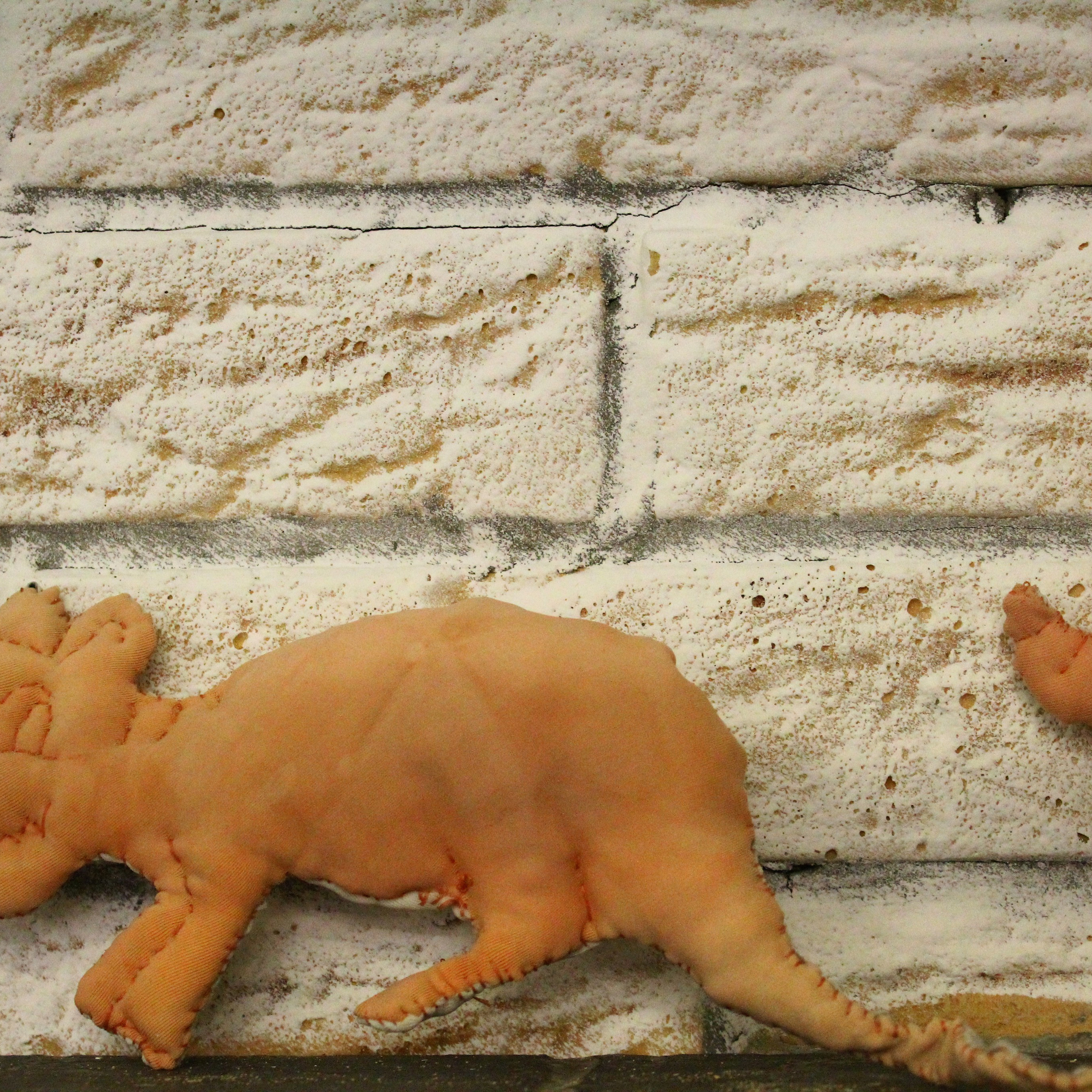 5th Ural Industrial Biennale of Contemporary Art (2), 2019. Ksenia Markelova, multidisciplinary artist, Yekaterinburg