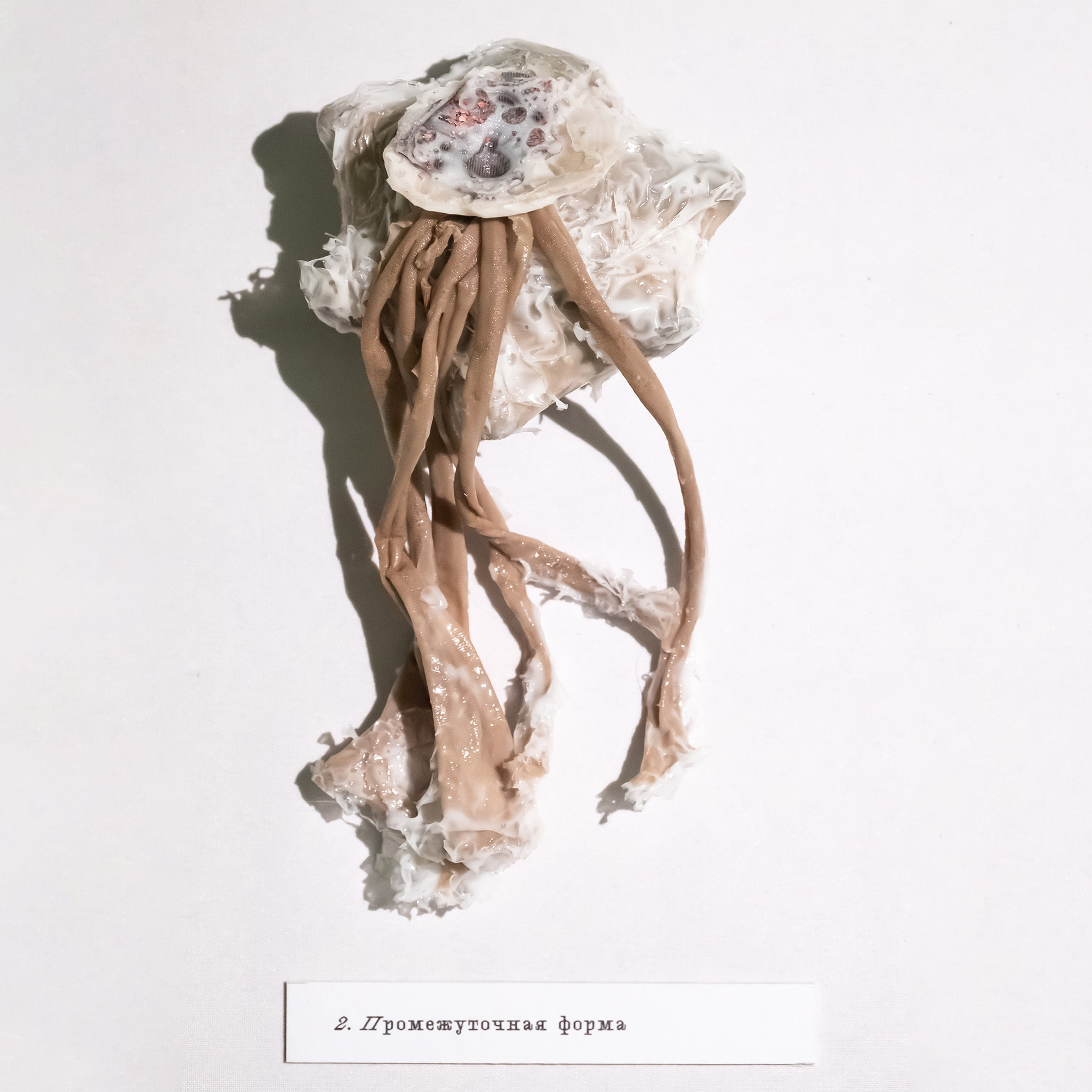 “Exopathos semidea\ Polubozhki Glazastie”, 2021. Ksenia Markelova, multidisciplinary artist, Yekaterinburg