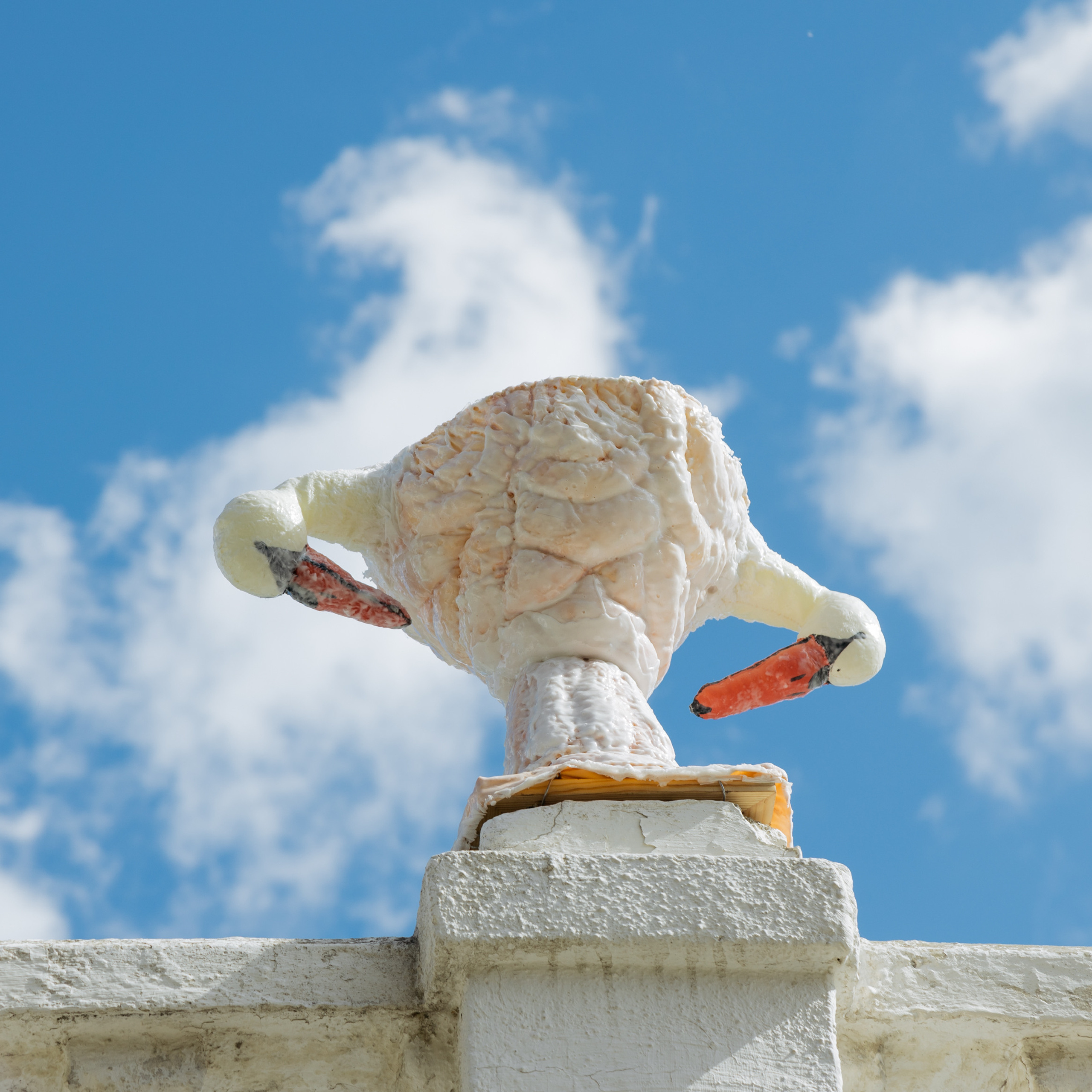 “The Swan Vase”, 2021. Ksenia Markelova, multidisciplinary artist, Yekaterinburg