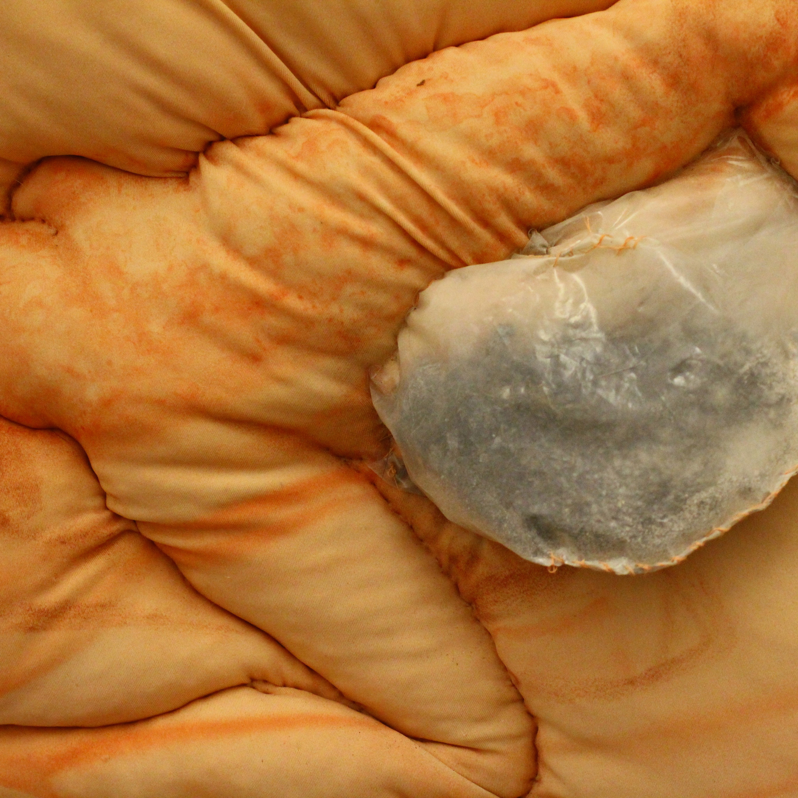 5th Ural Industrial Biennale of Contemporary Art (2), 2019. Ksenia Markelova, multidisciplinary artist, Yekaterinburg