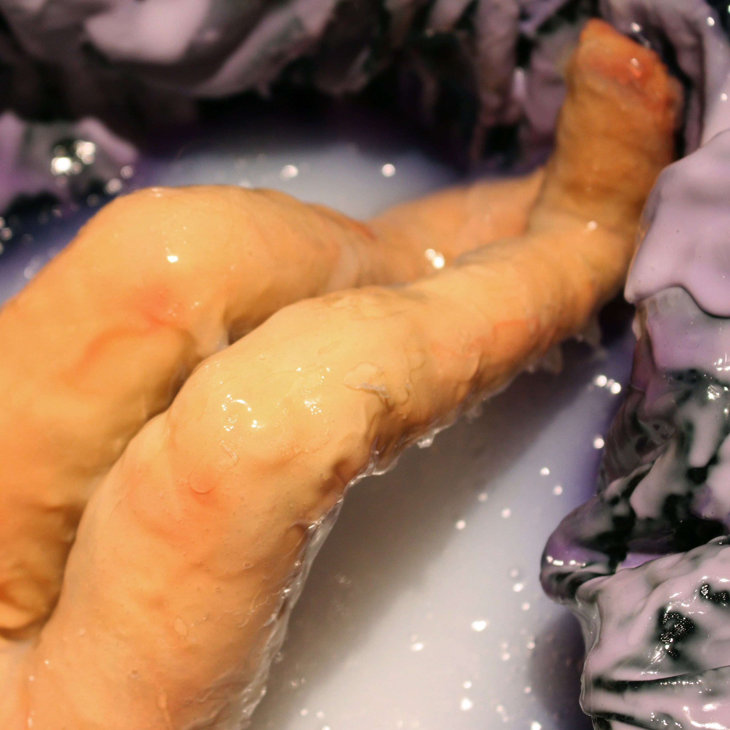 “The Worm and the Swan”, 2024. Ksenia Markelova, multidisciplinary artist, Yekaterinburg