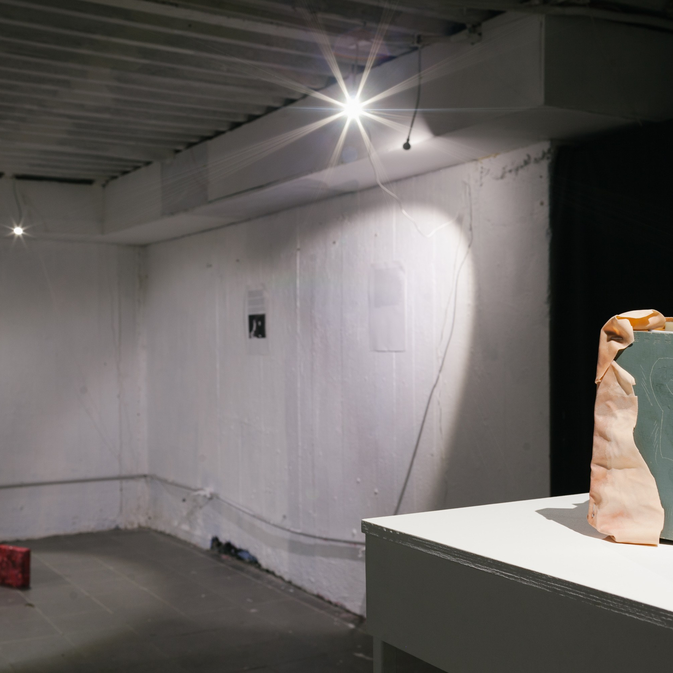 ''Rapid Reaction Group'', Cultural Transit Foundation, Yekaterinburg, 2019. Ksenia Markelova, multidisciplinary artist, Yekaterinburg