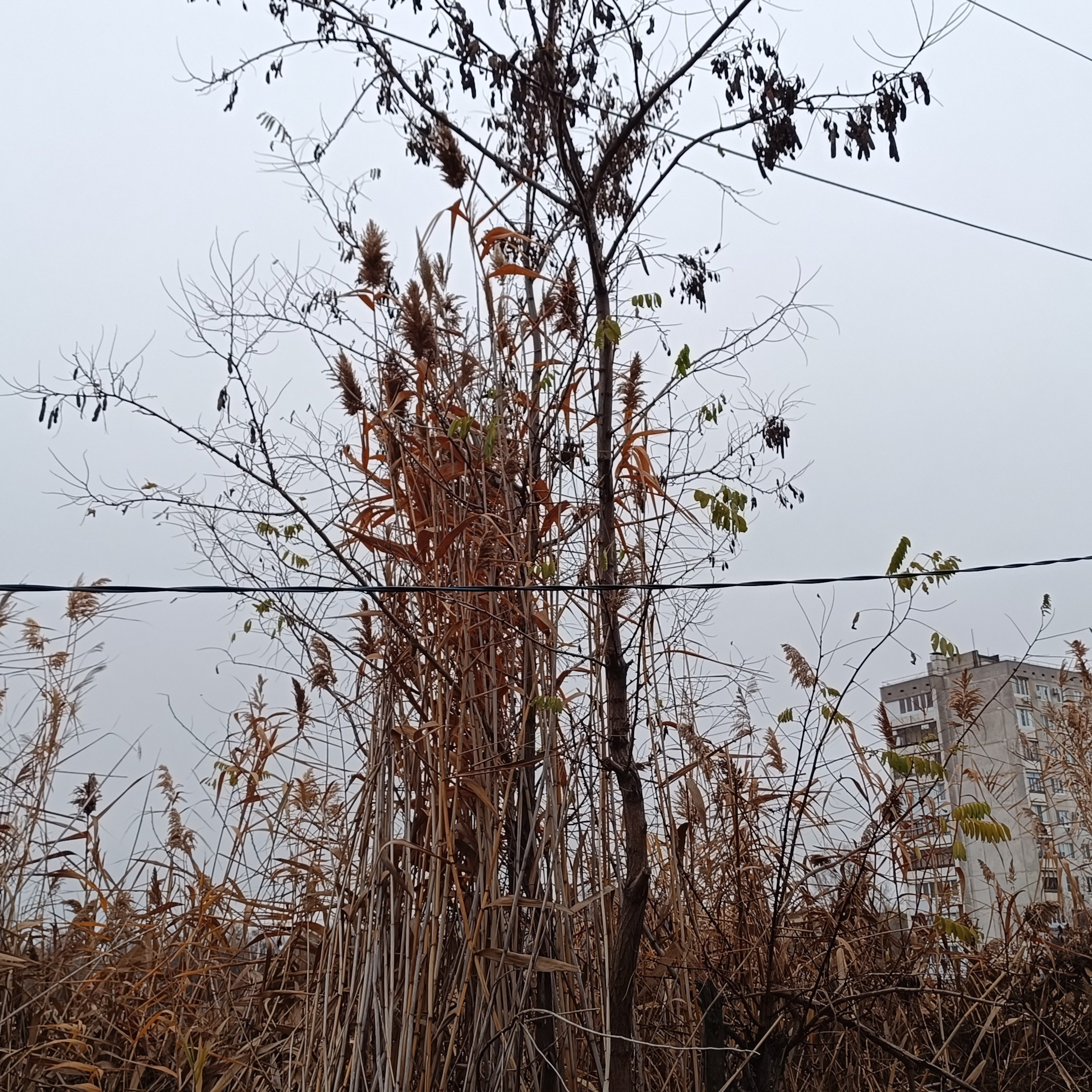 Фототерапия. Марина Рыбкина — Глубинная психология