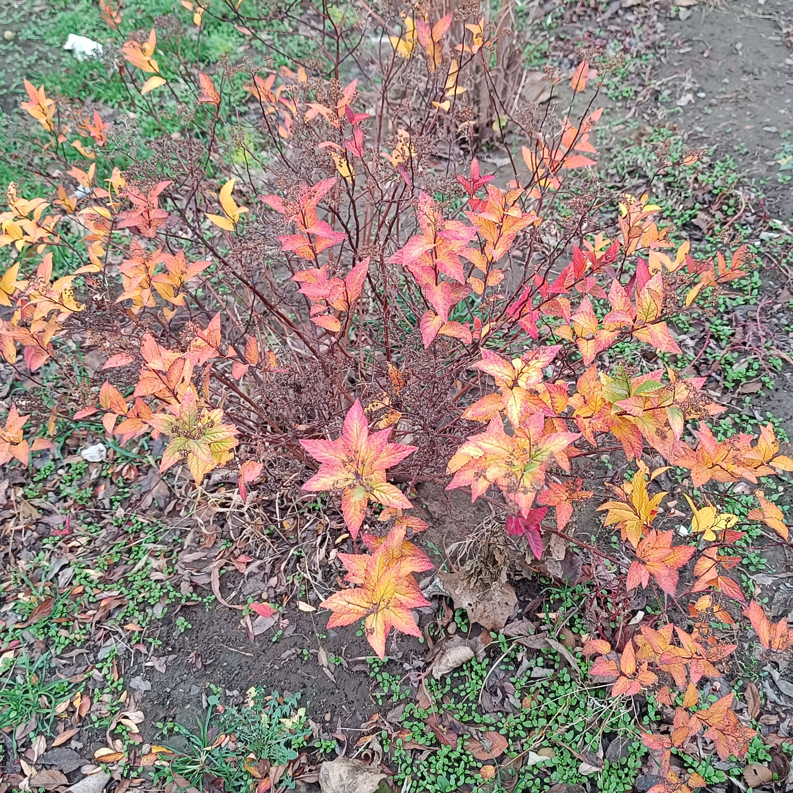Фототерапия. Марина Рыбкина — Глубинная психология