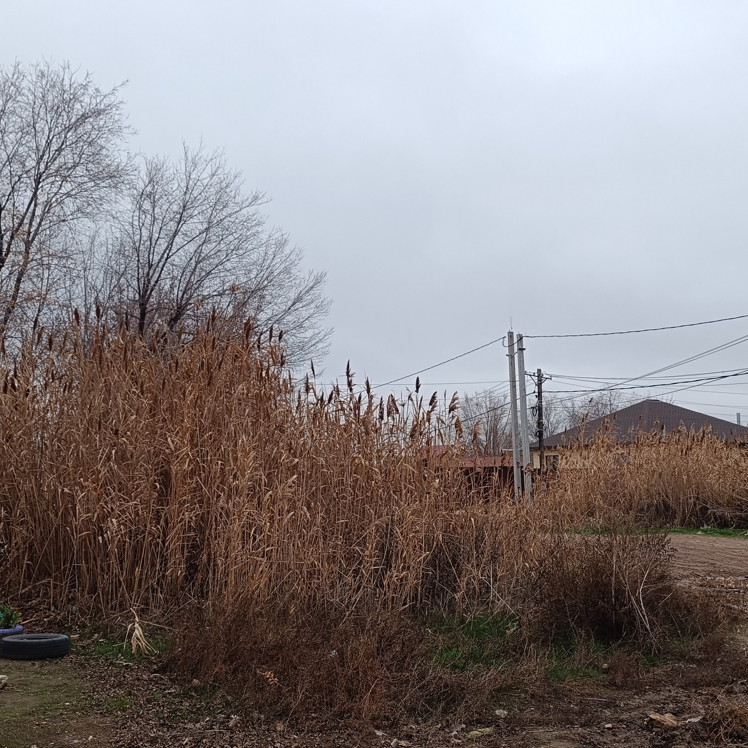 Фототерапия. Марина Рыбкина — Глубинная психология