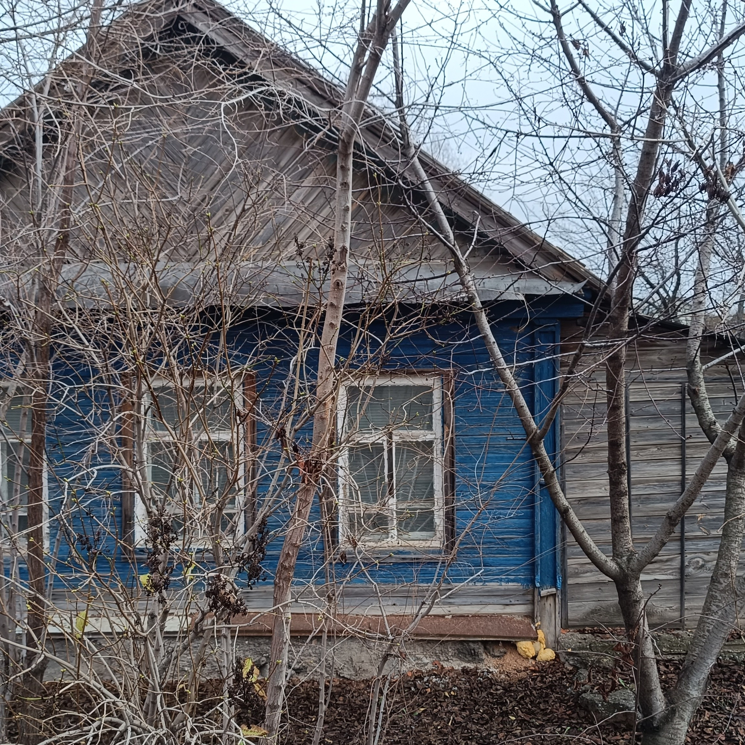 Фототерапия. Марина Рыбкина — Глубинная психология