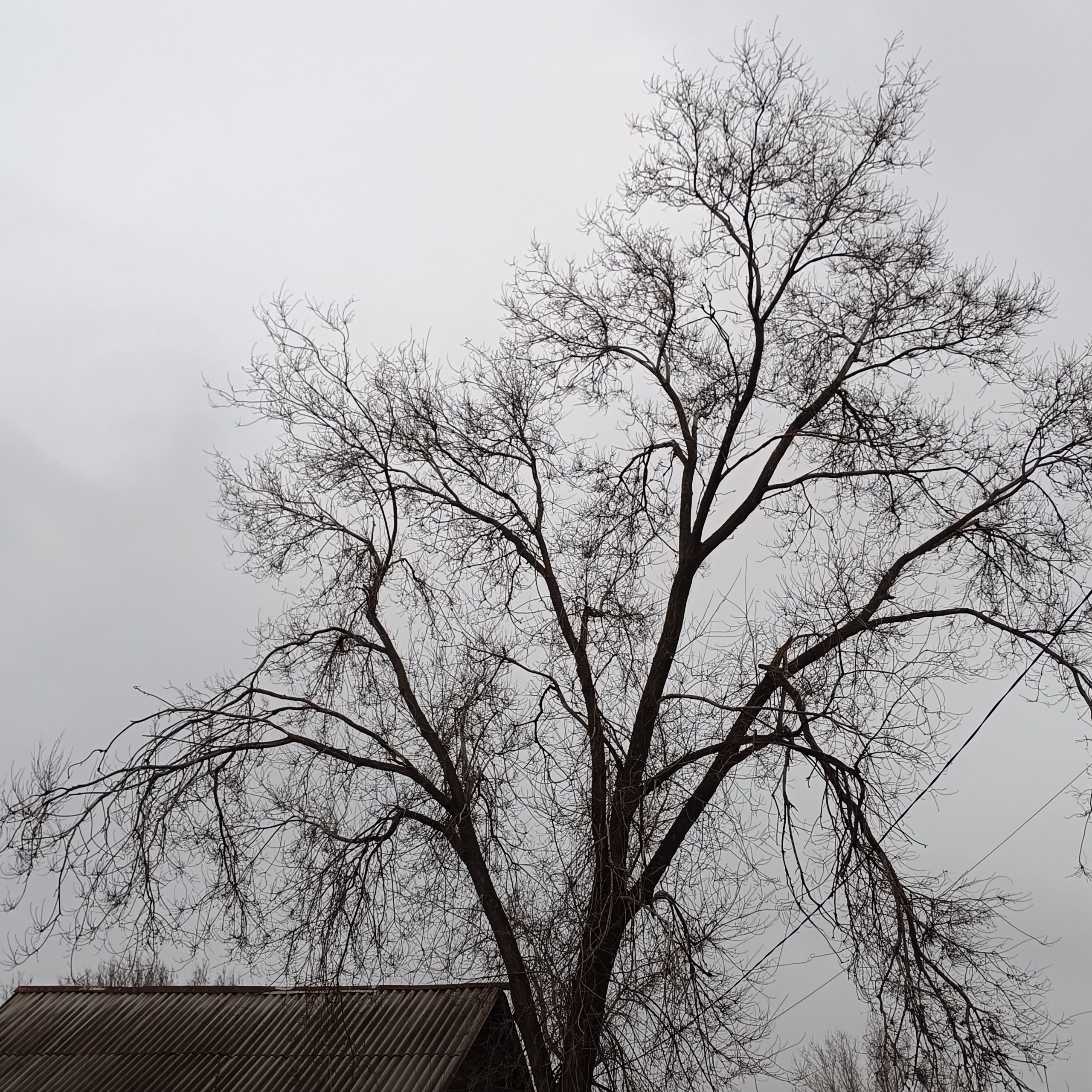 Фототерапия. Марина Рыбкина — Глубинная психология