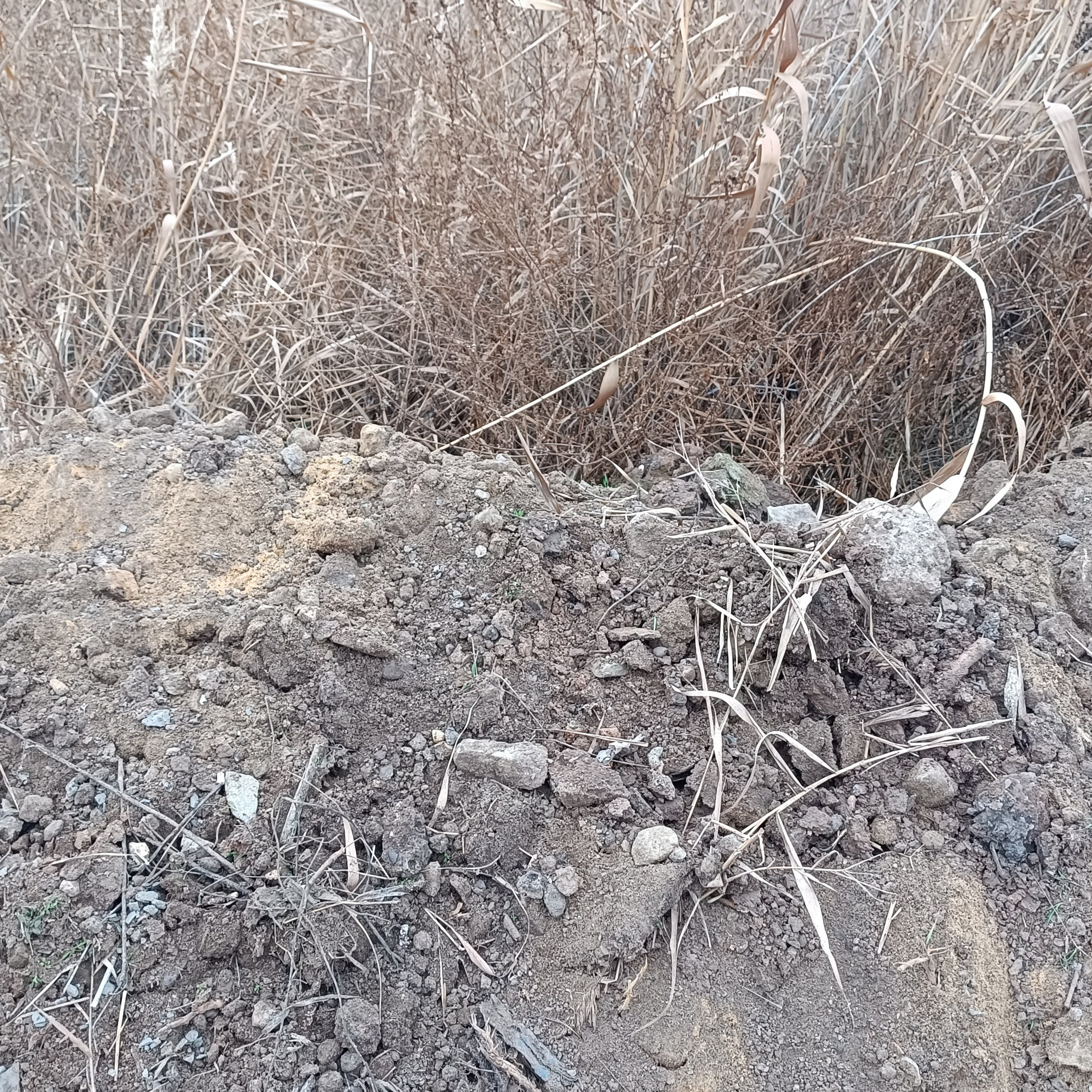 Фототерапия. Марина Рыбкина — Глубинная психология