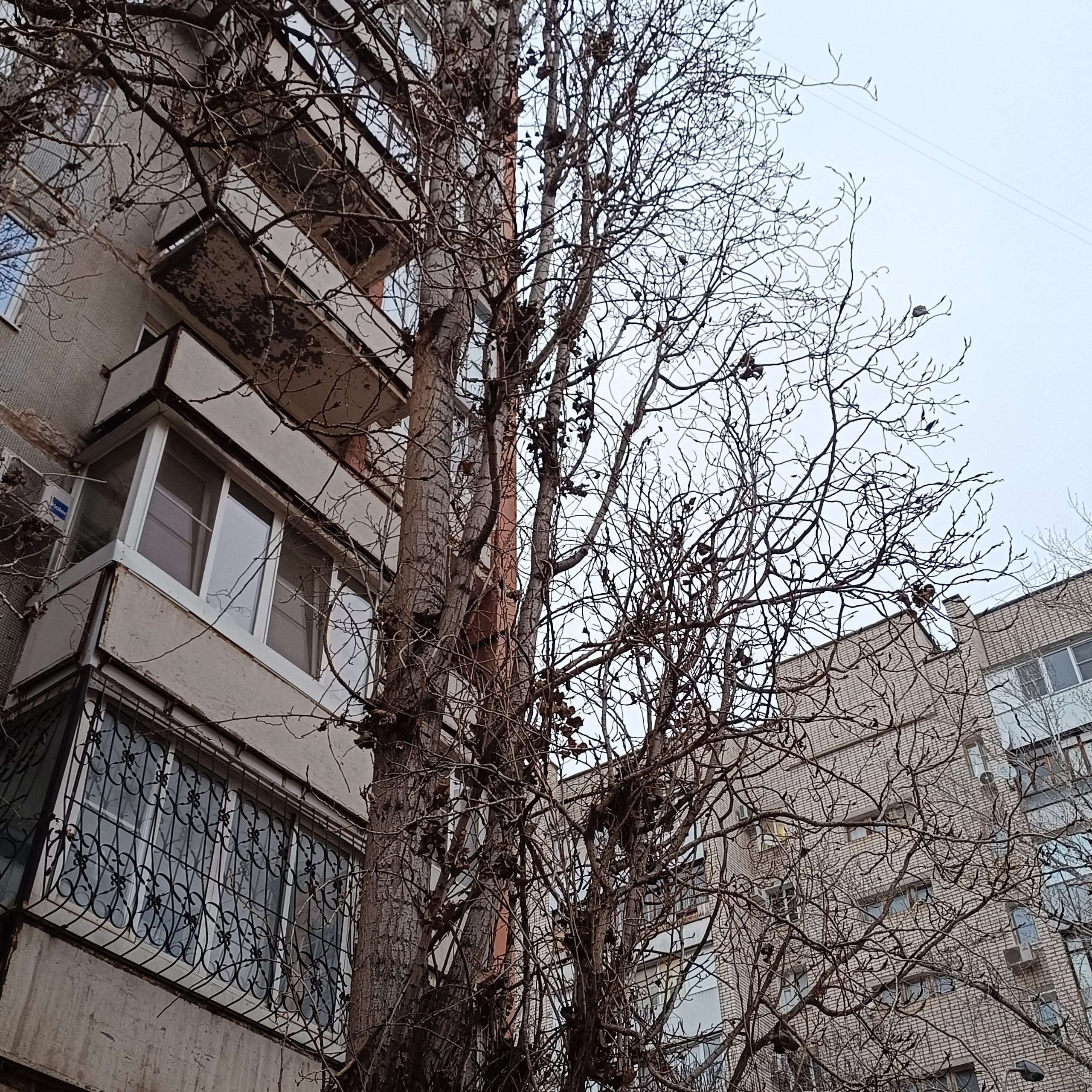 Фототерапия. Марина Рыбкина — Глубинная психология