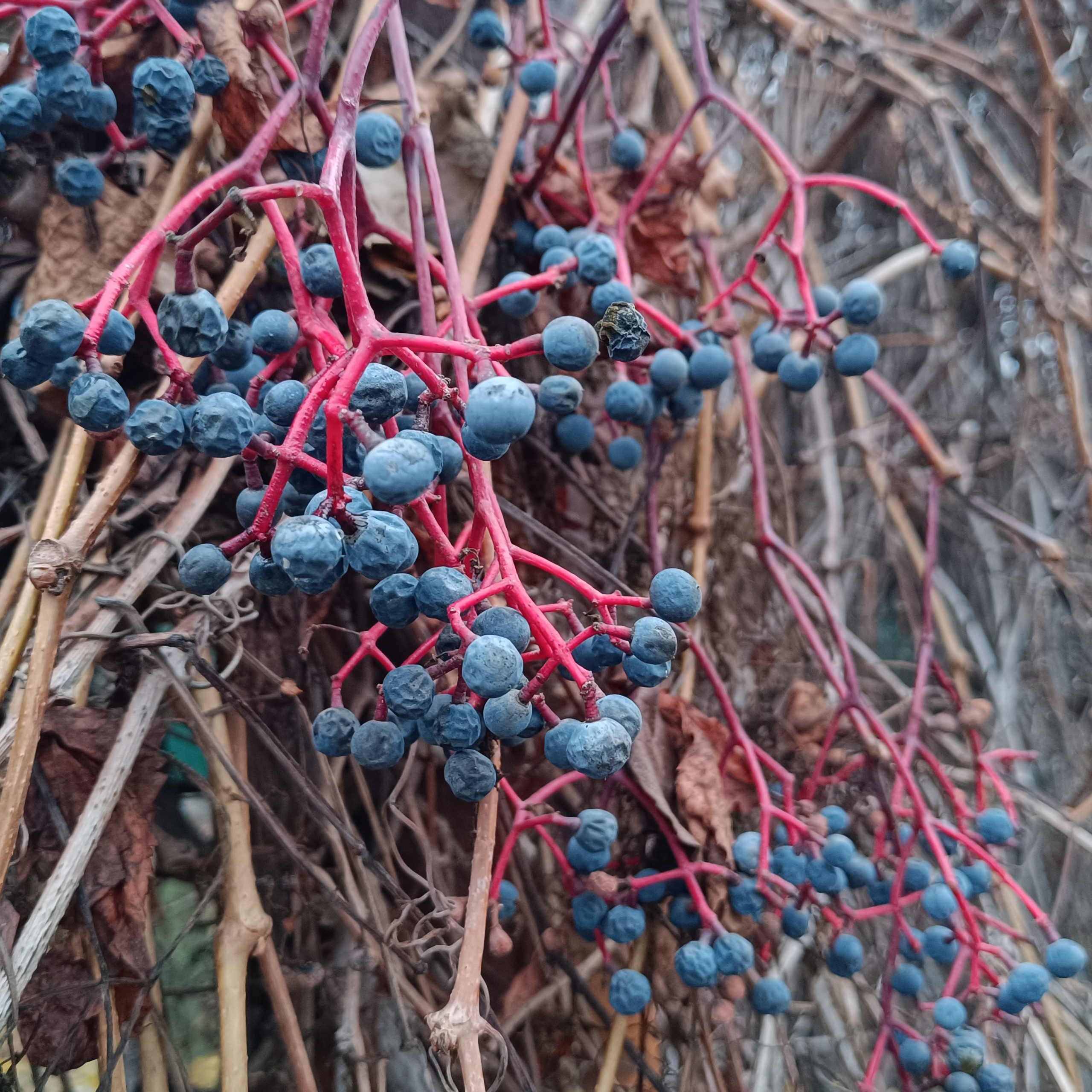 Фототерапия. Марина Рыбкина — Глубинная психология