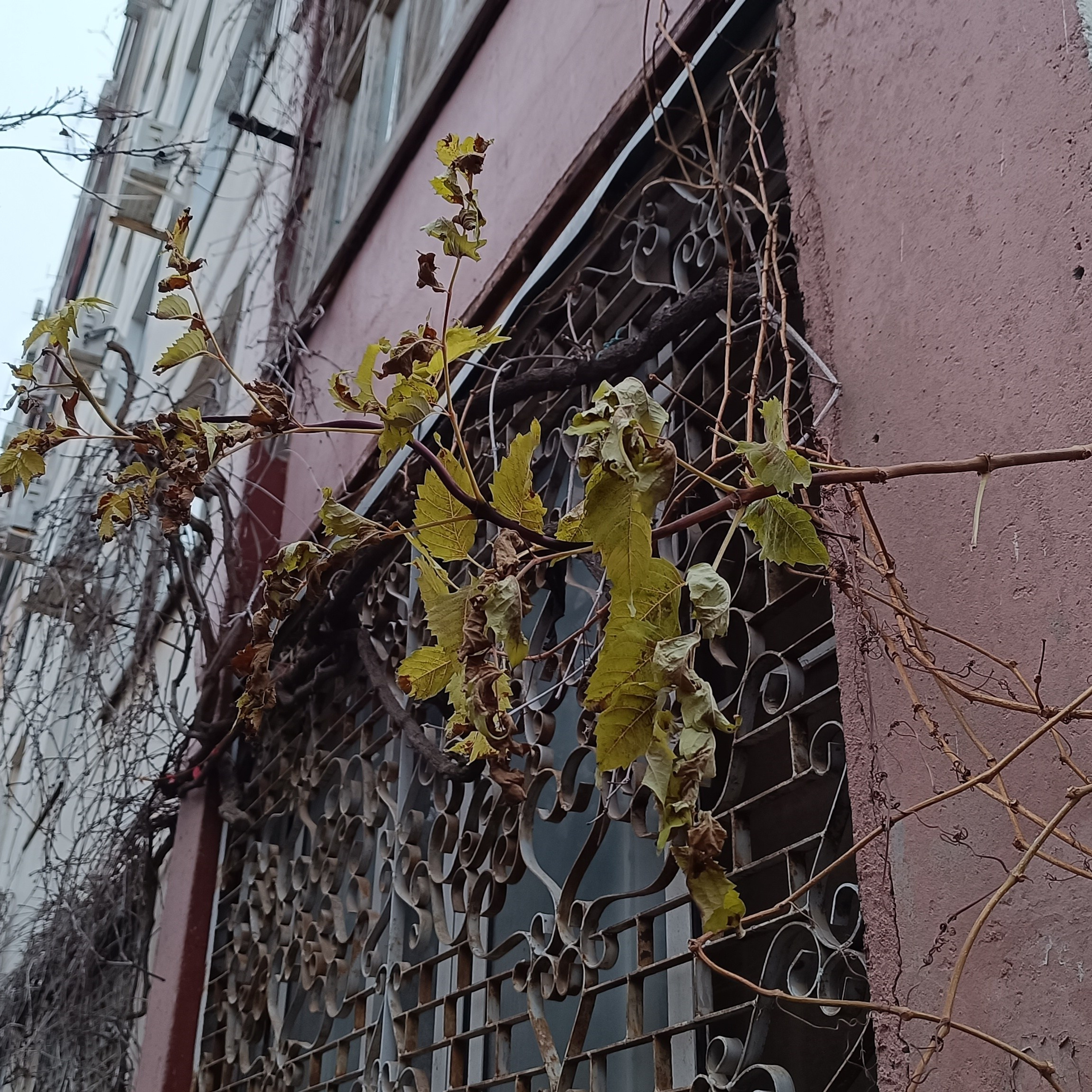 Фототерапия. Марина Рыбкина — Глубинная психология