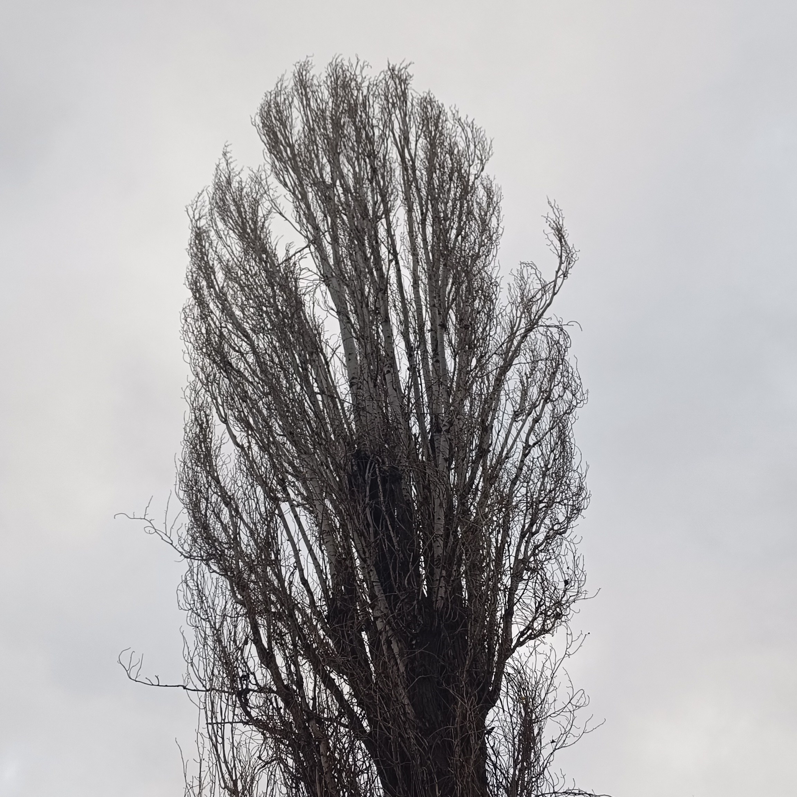 Фототерапия. Марина Рыбкина — Глубинная психология