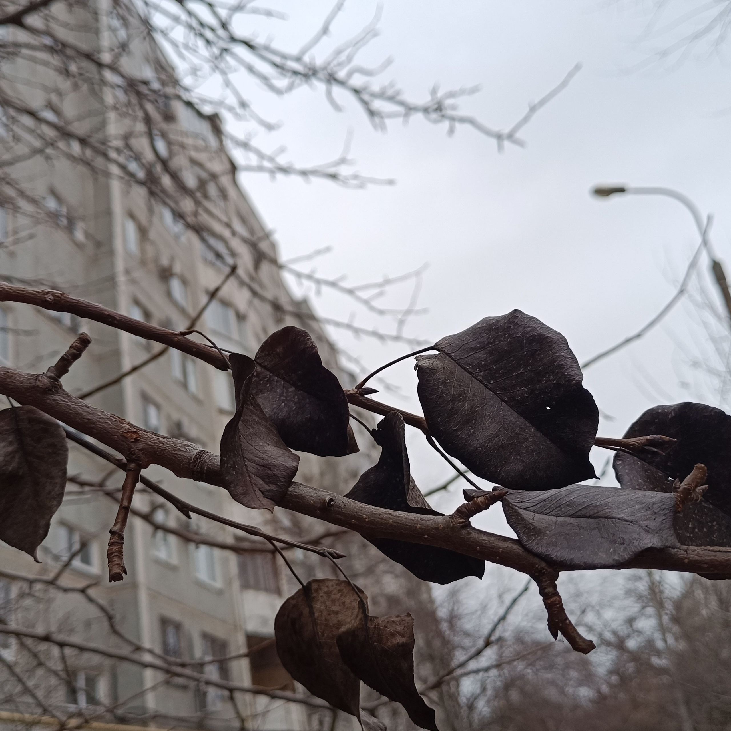 Фототерапия. Марина Рыбкина — Глубинная психология