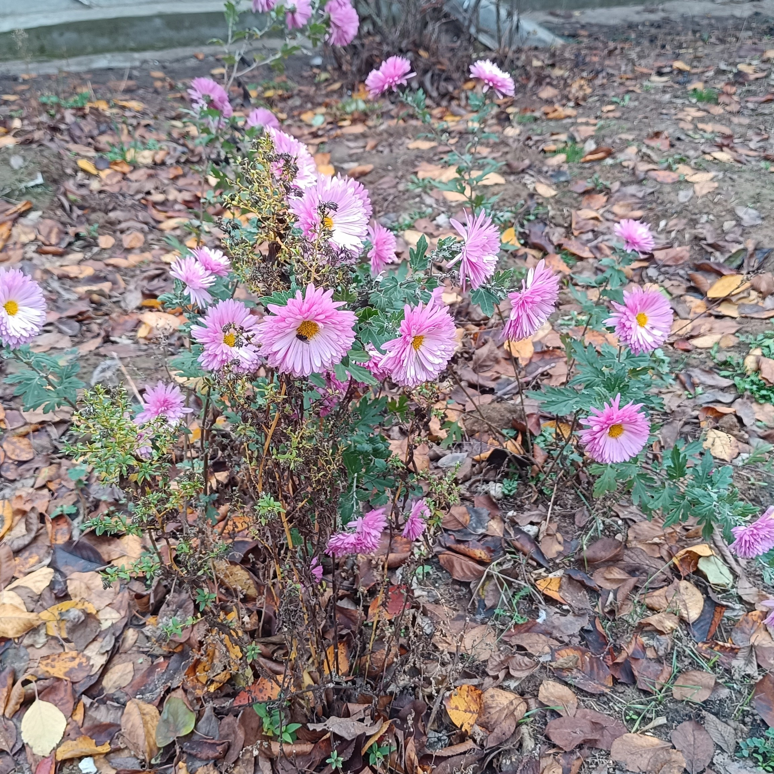Фототерапия. Марина Рыбкина — Глубинная психология