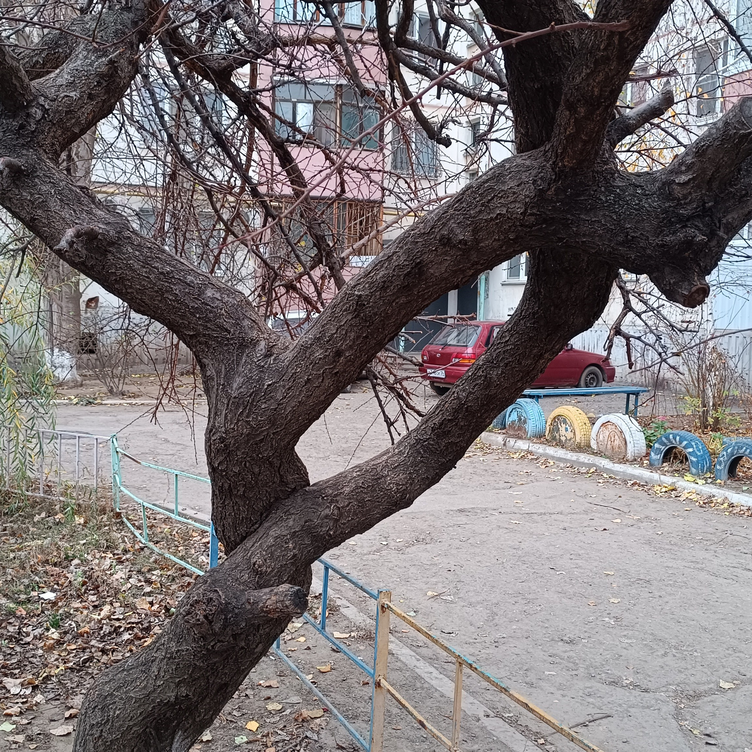 Фототерапия. Марина Рыбкина — Глубинная психология