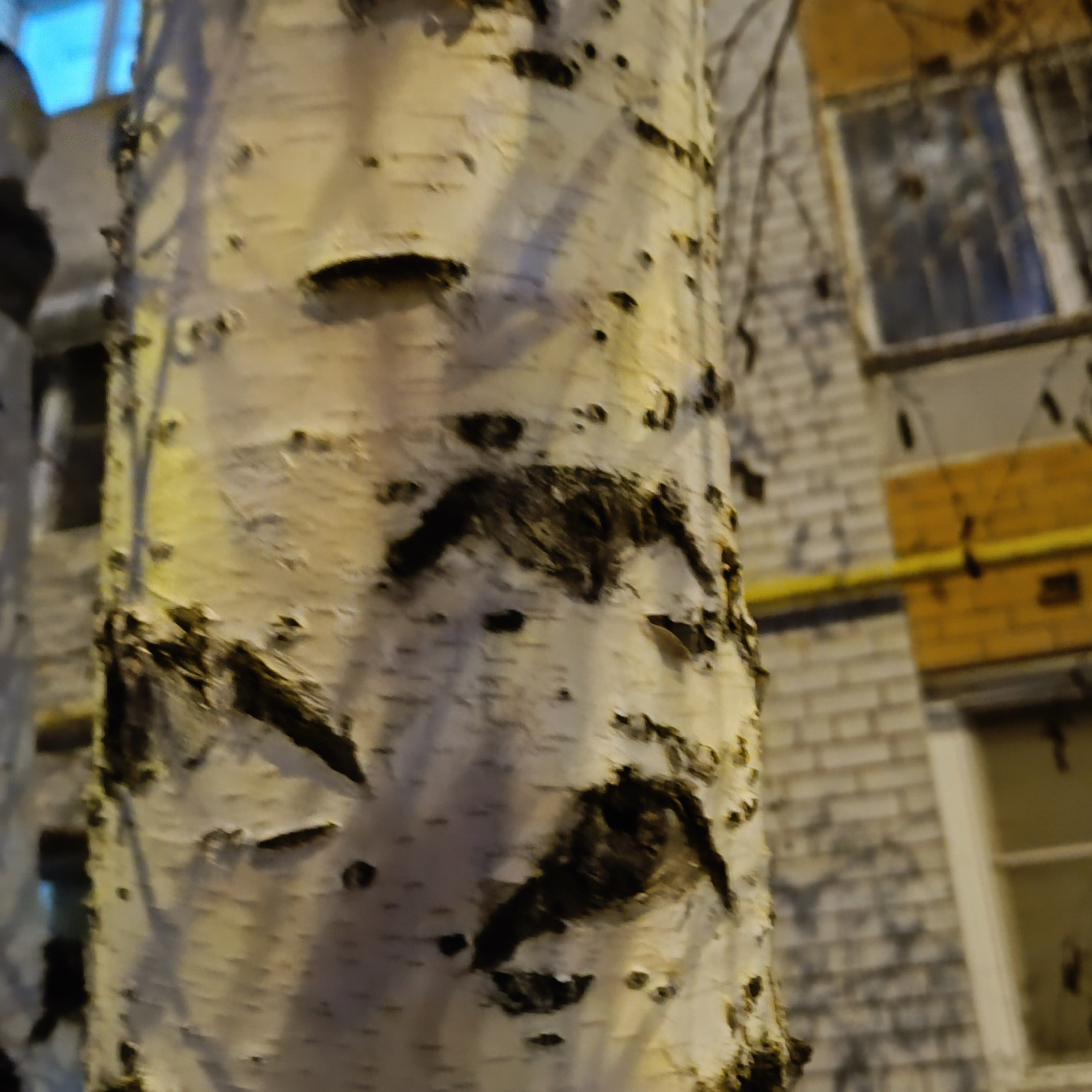 Фототерапия. Марина Рыбкина — Глубинная психология